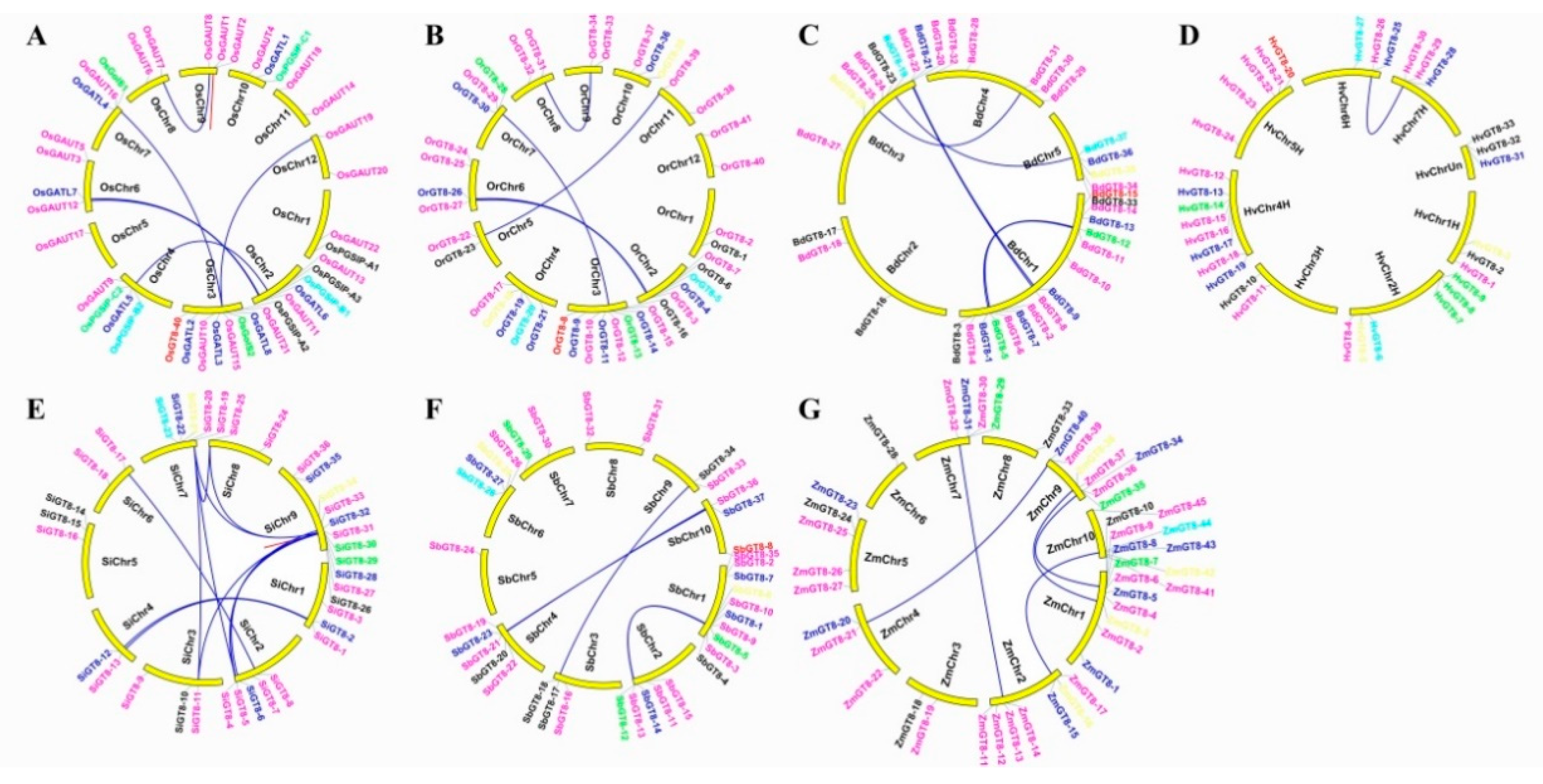 Biomolecules 09 00188 g003 Biomolecules 09 00188 g003