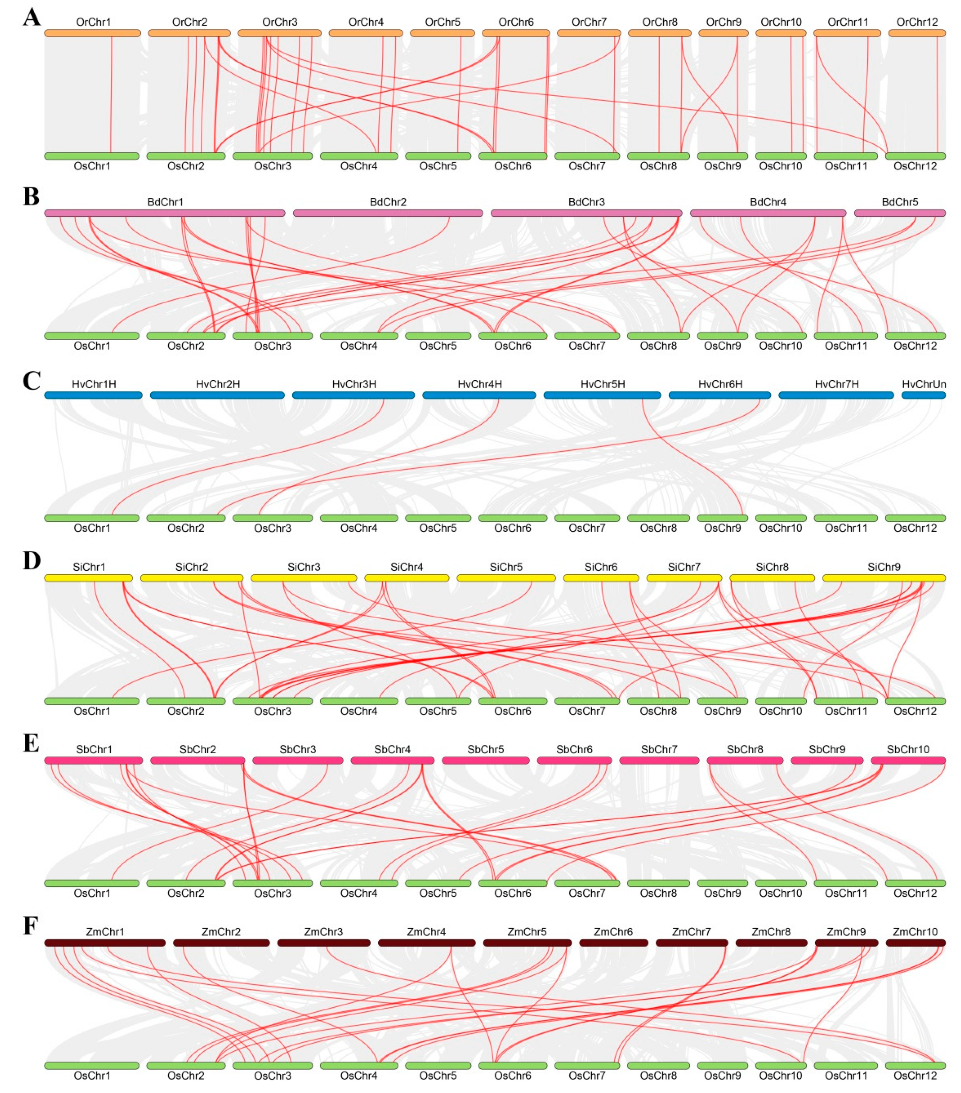 Biomolecules 09 00188 g004 Biomolecules 09 00188 g004