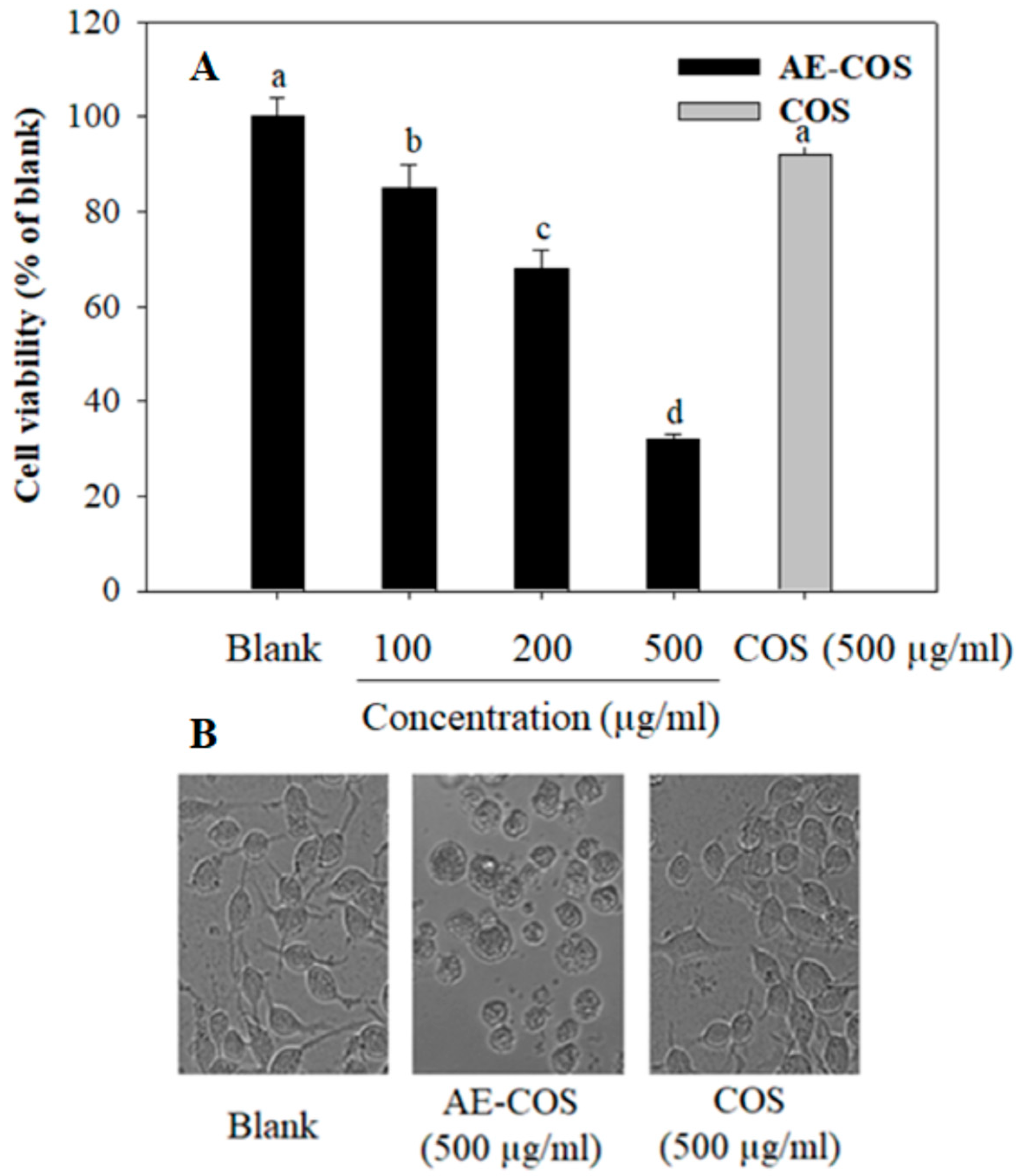 Biomolecules 09 00195 g001