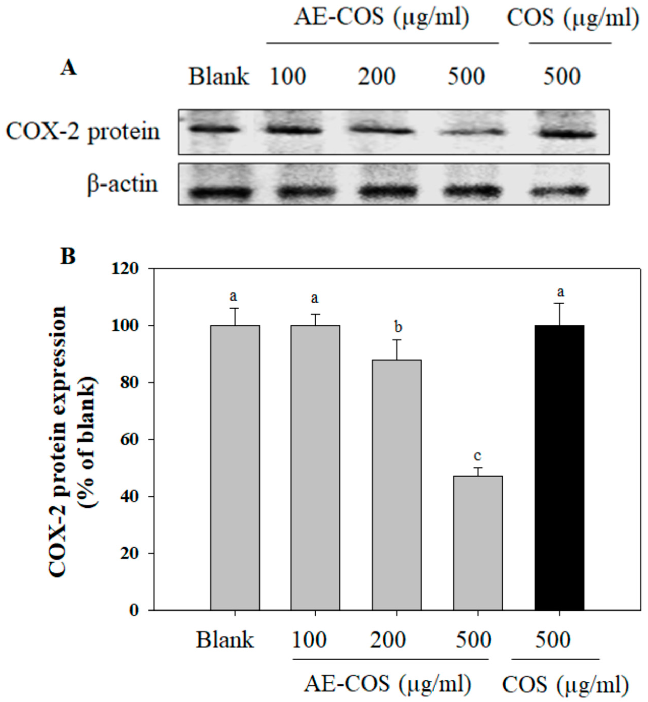 Biomolecules 09 00195 g002