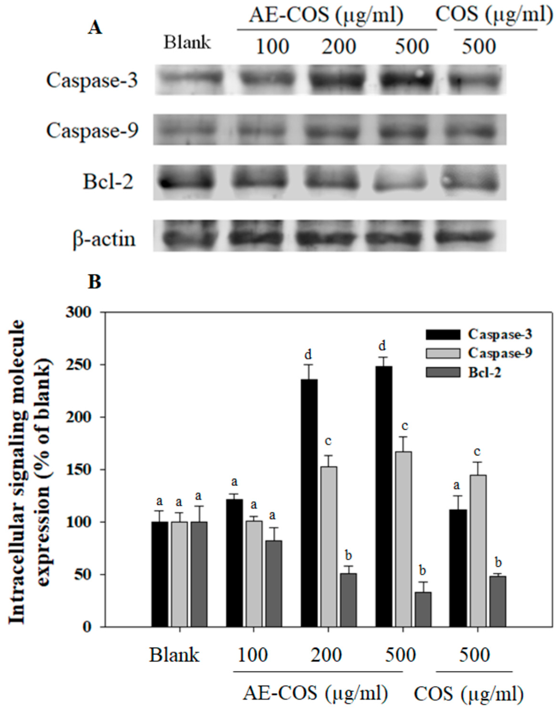 Biomolecules 09 00195 g003