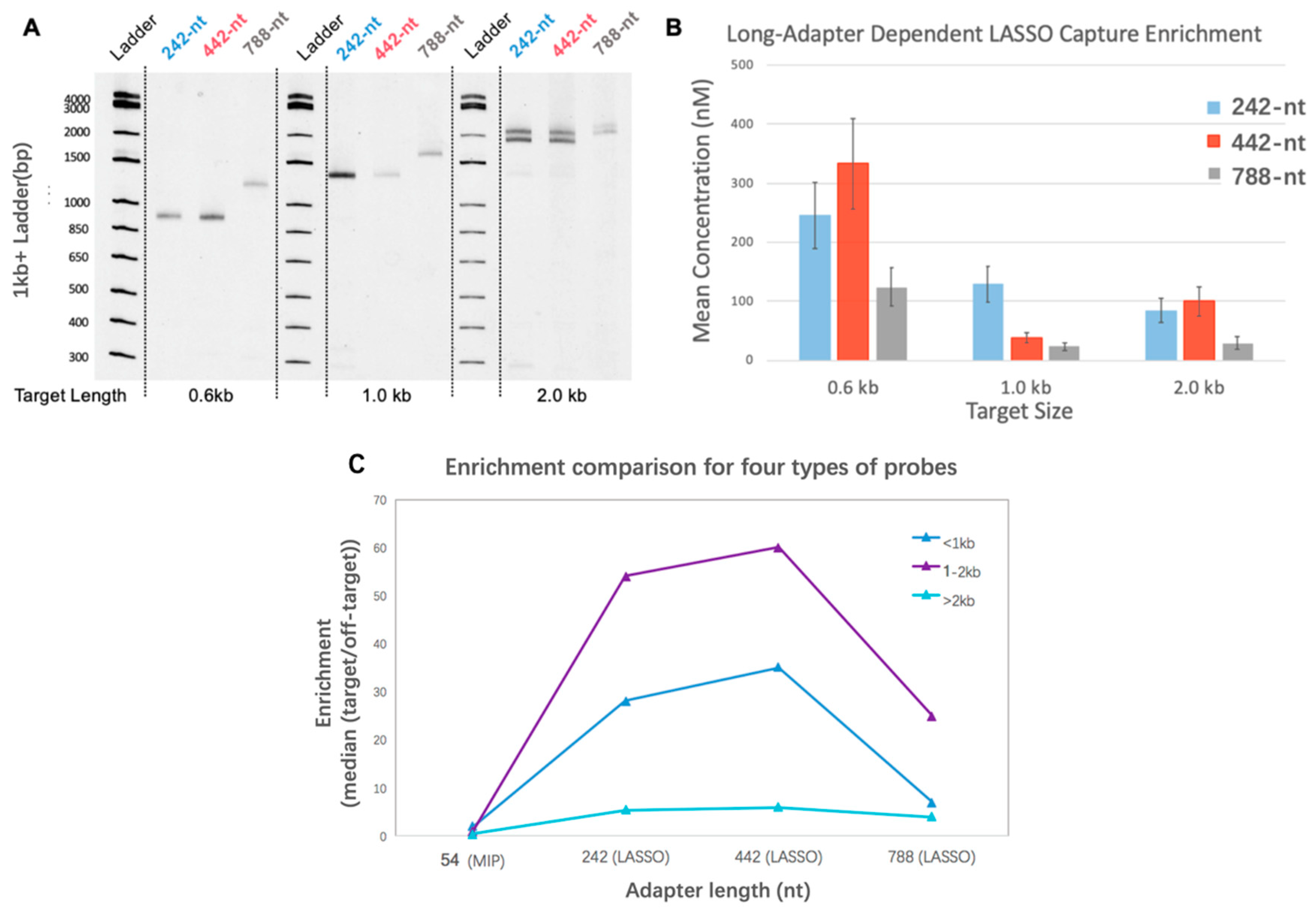 Biomolecules 09 00199 g002 Biomolecules 09 00199 g002