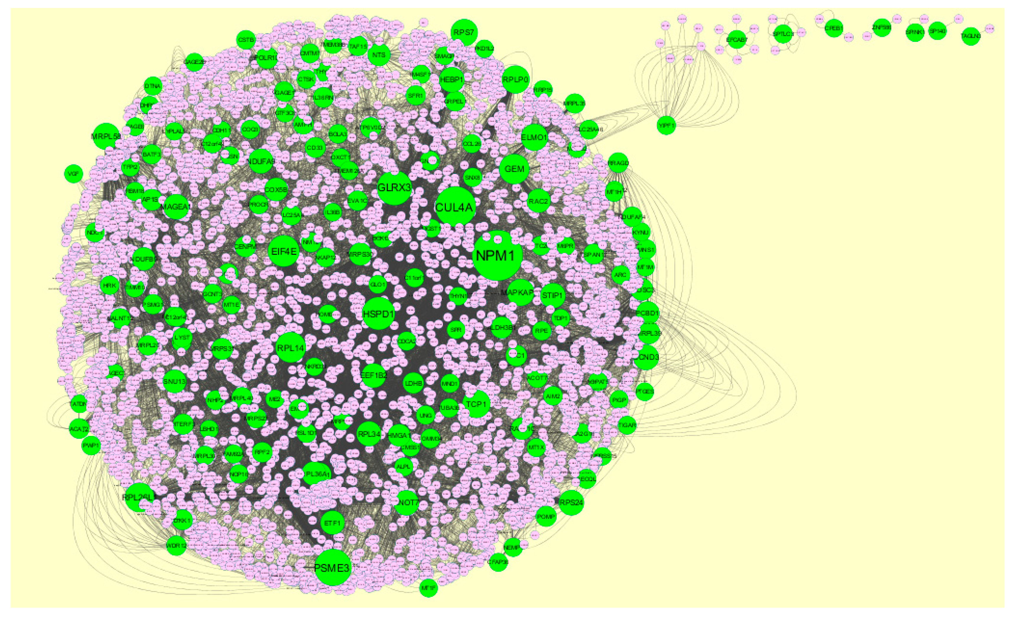 Biomolecules 09 00201 g005 Biomolecules 09 00201 g005