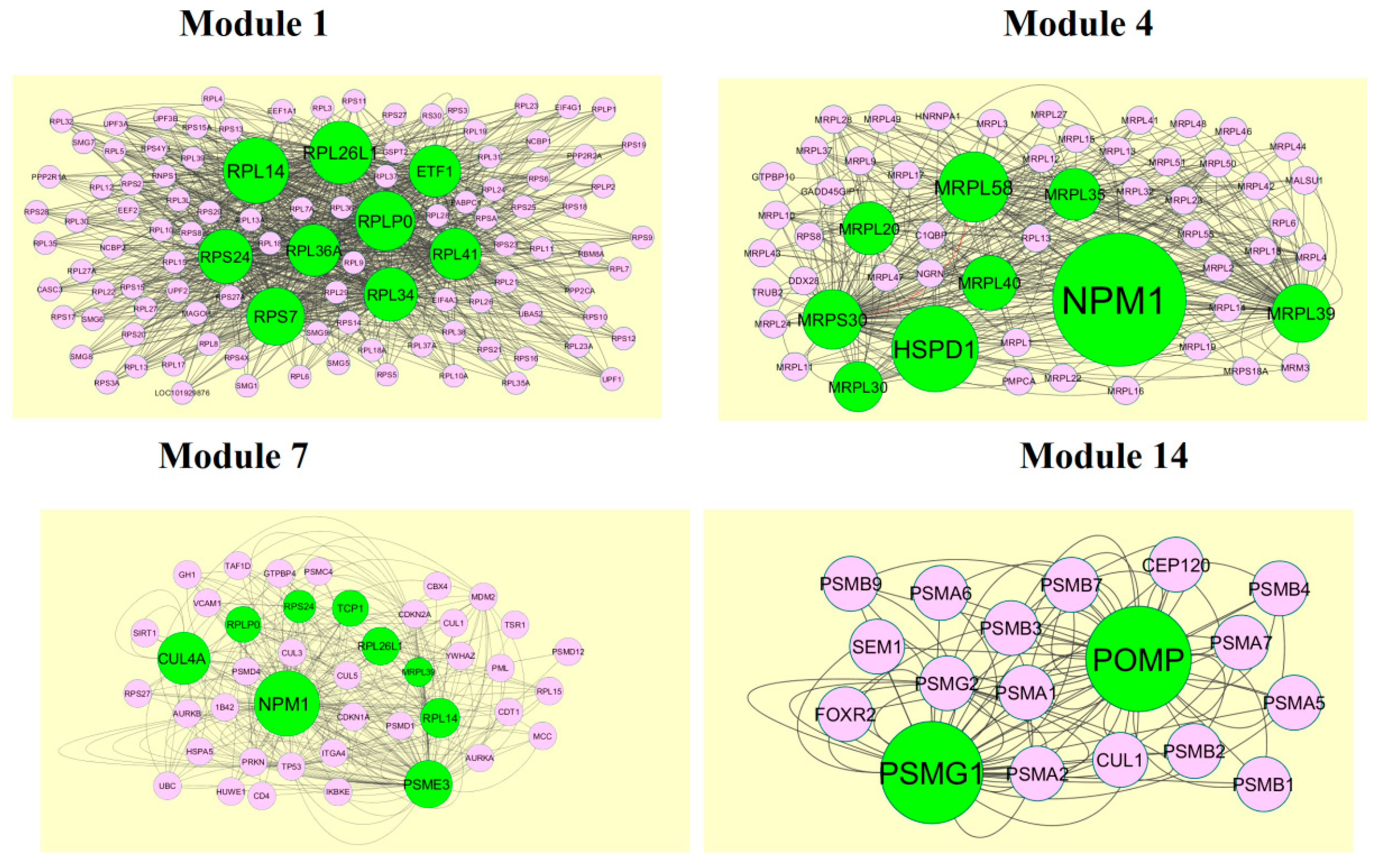 Biomolecules 09 00201 g010 Biomolecules 09 00201 g010