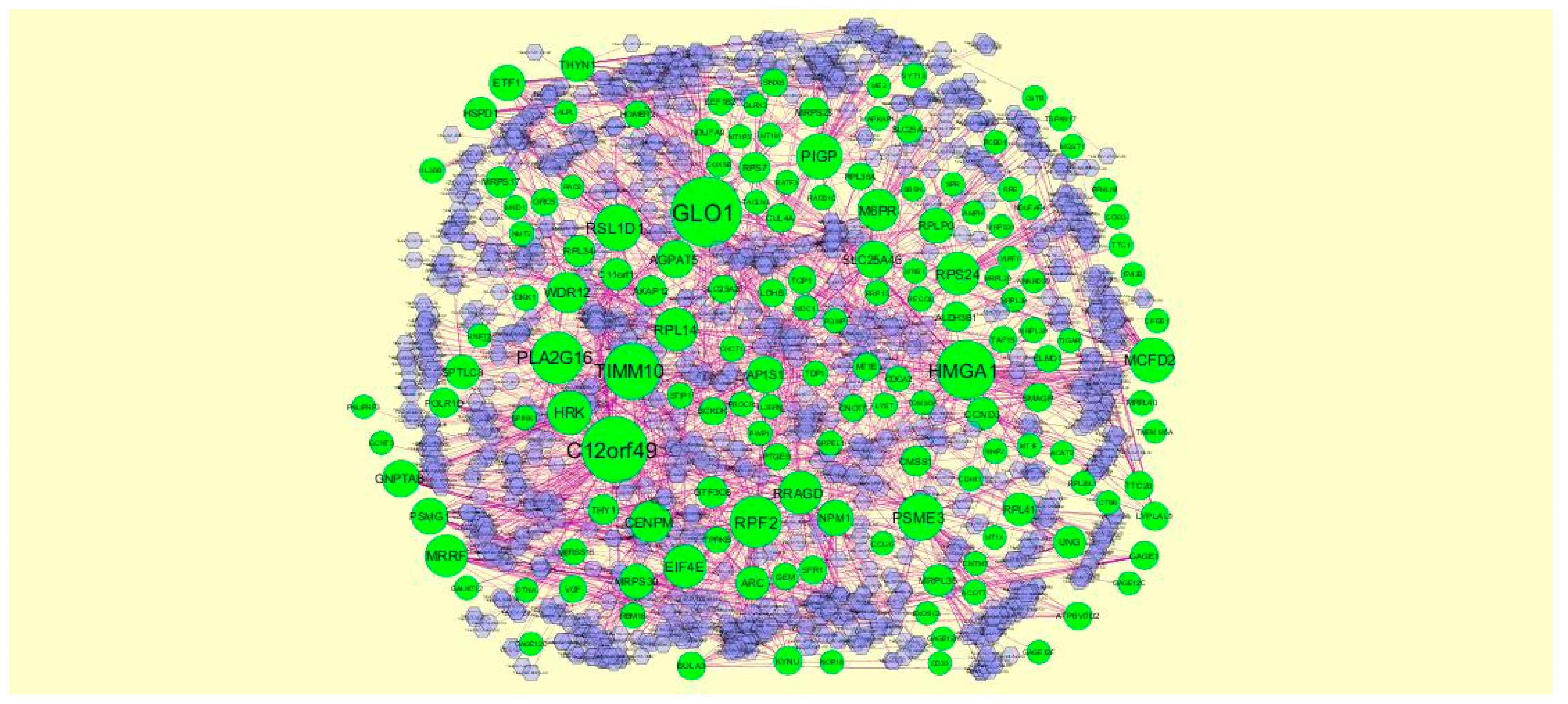 Biomolecules 09 00201 g012 Biomolecules 09 00201 g012