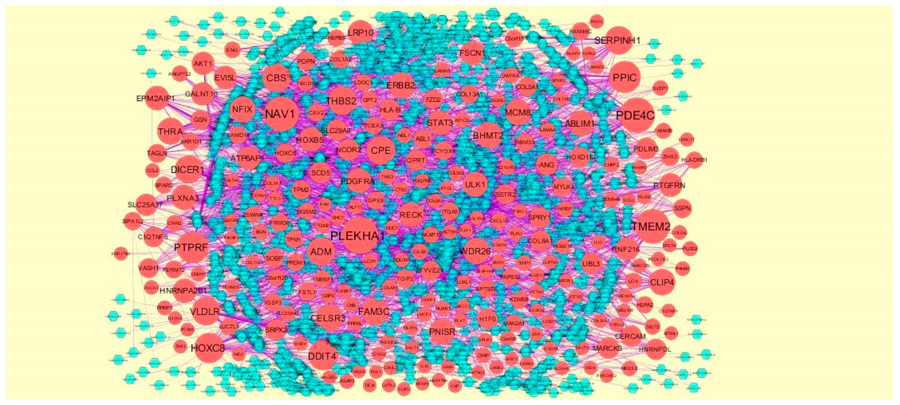 Biomolecules 09 00201 g013 Biomolecules 09 00201 g013