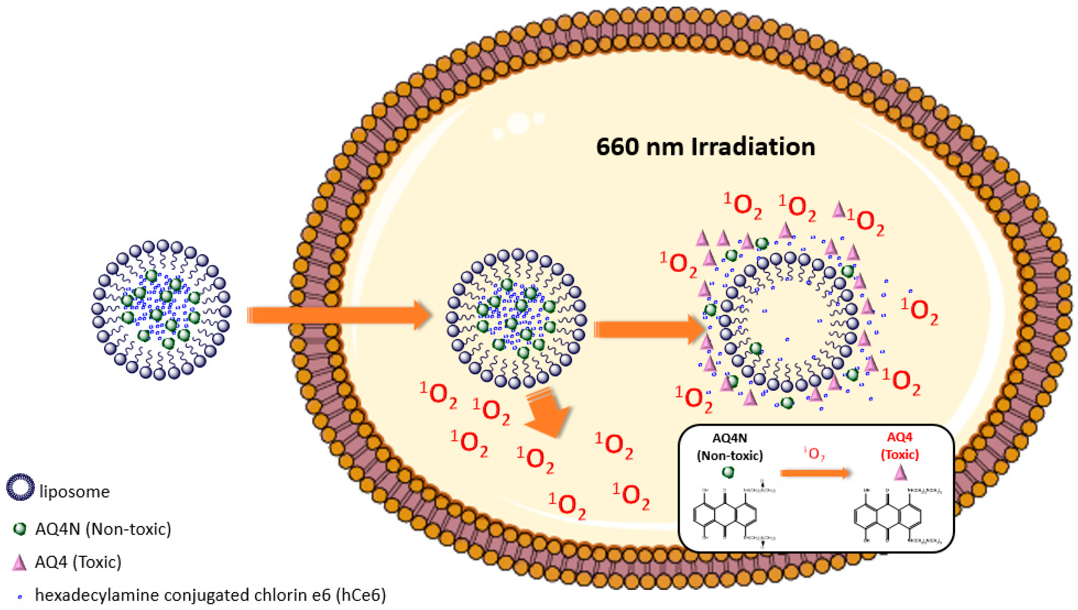 Biomolecules 09 00202 g003 Biomolecules 09 00202 g003