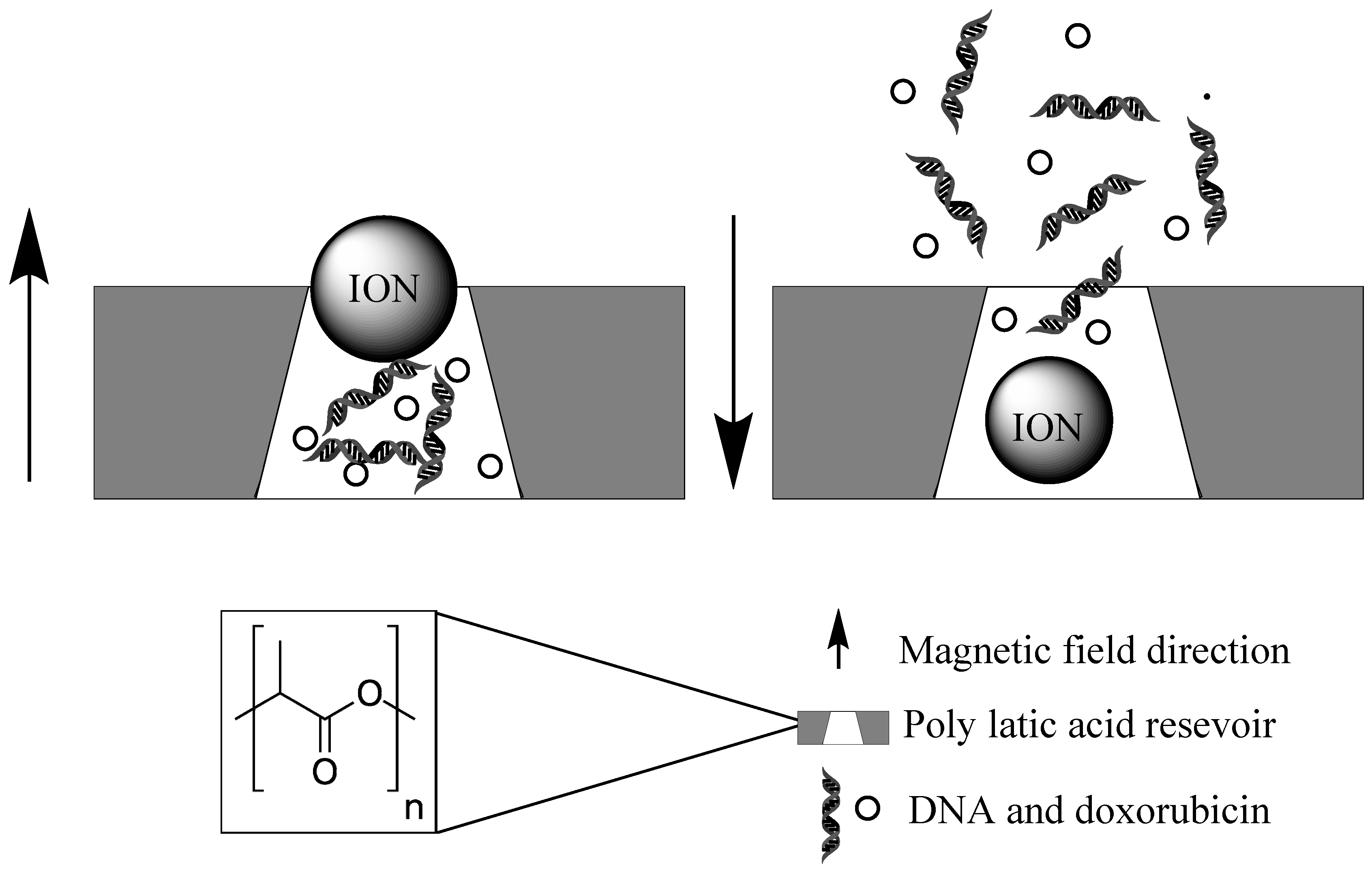 Biomolecules 09 00202 g005 Biomolecules 09 00202 g005