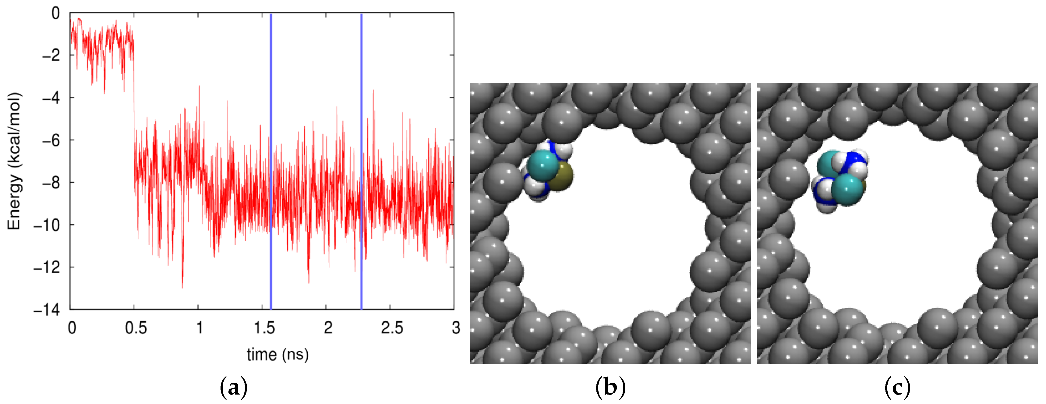 Biomolecules 09 00204 g008 Biomolecules 09 00204 g008