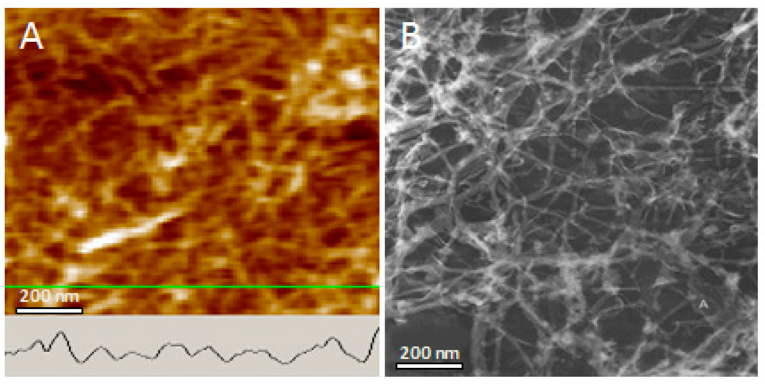 Biomolecules 09 00210 g005