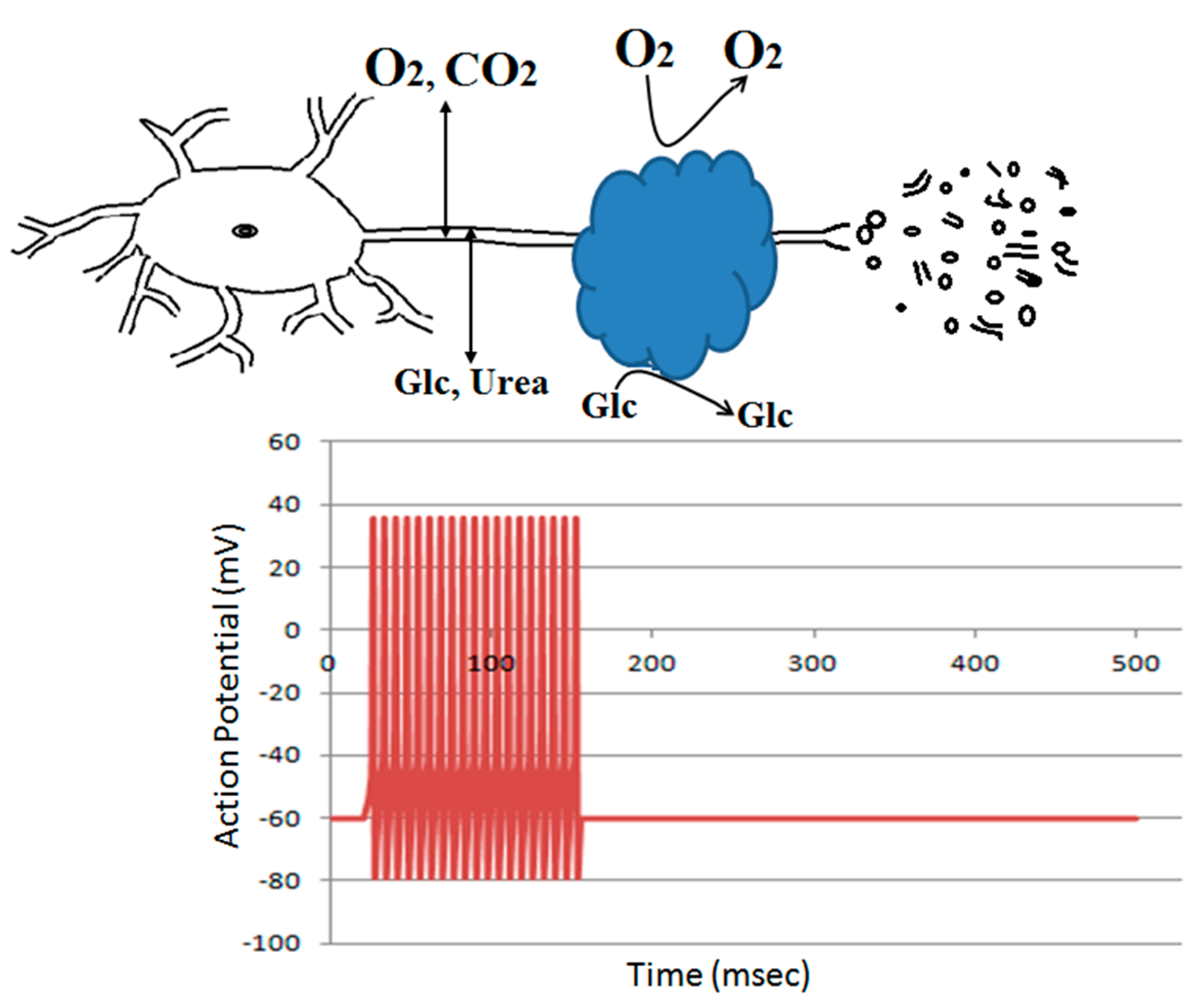 Biomolecules 09 00210 g006