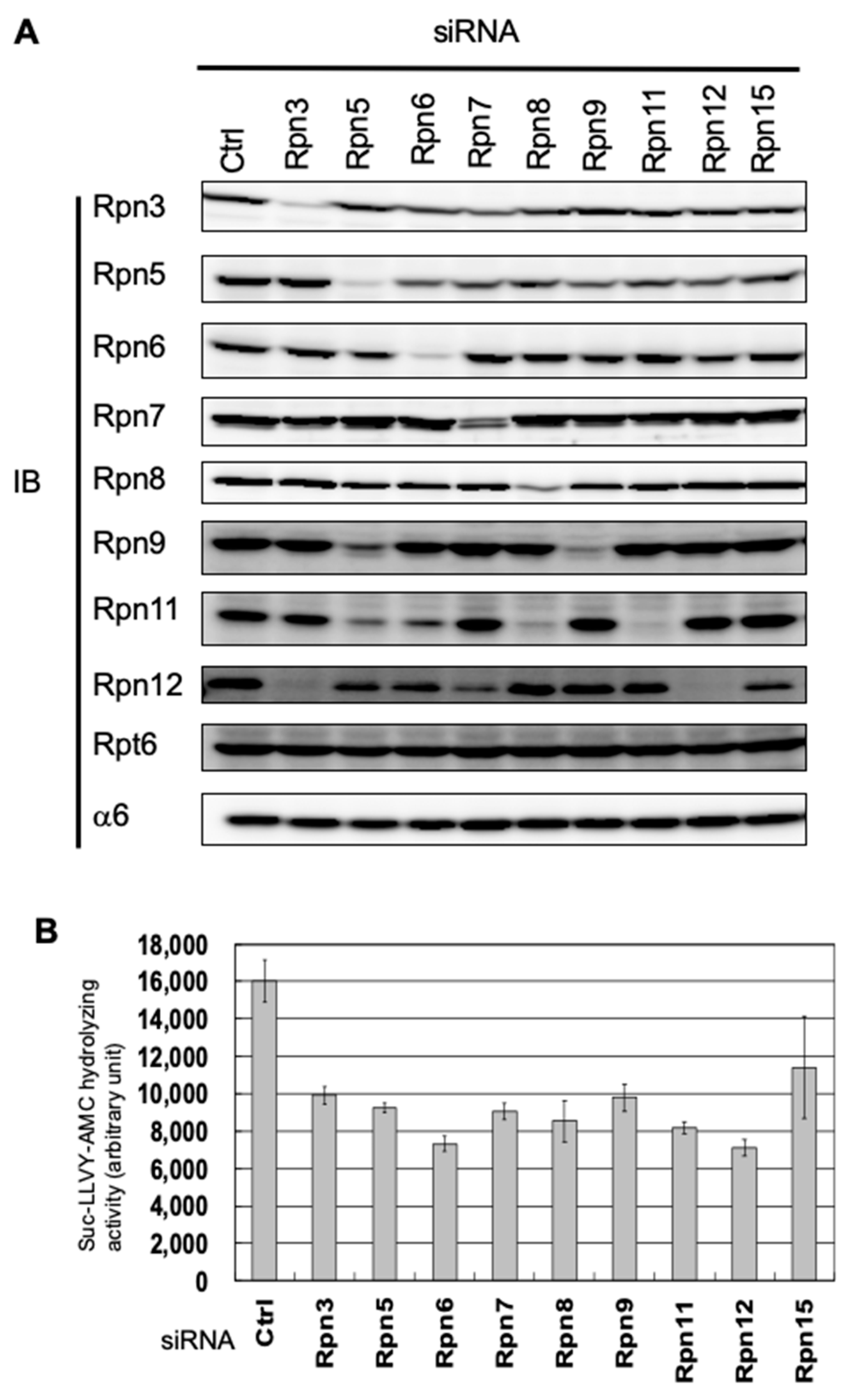 Biomolecules 09 00213 g001
