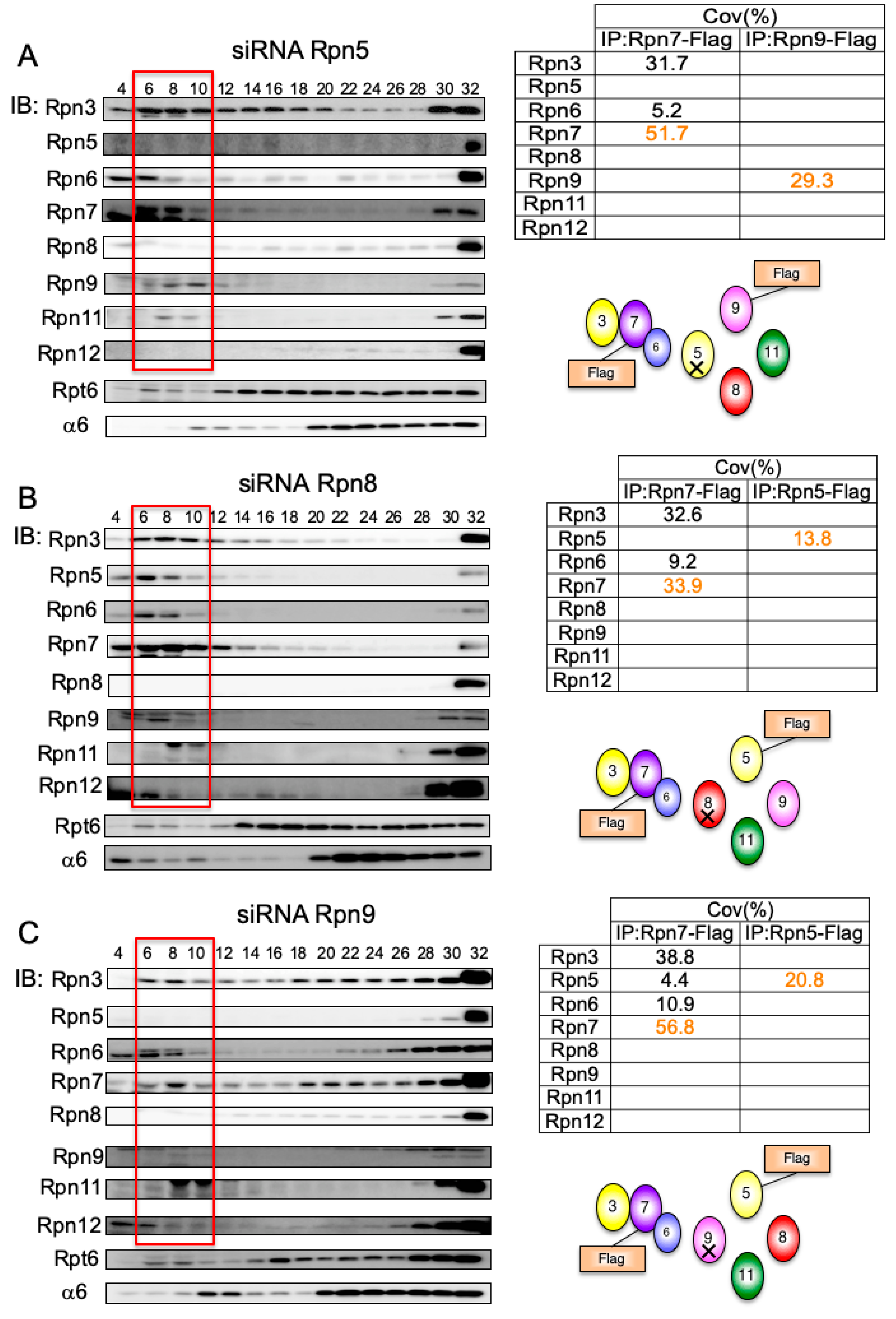 Biomolecules 09 00213 g005