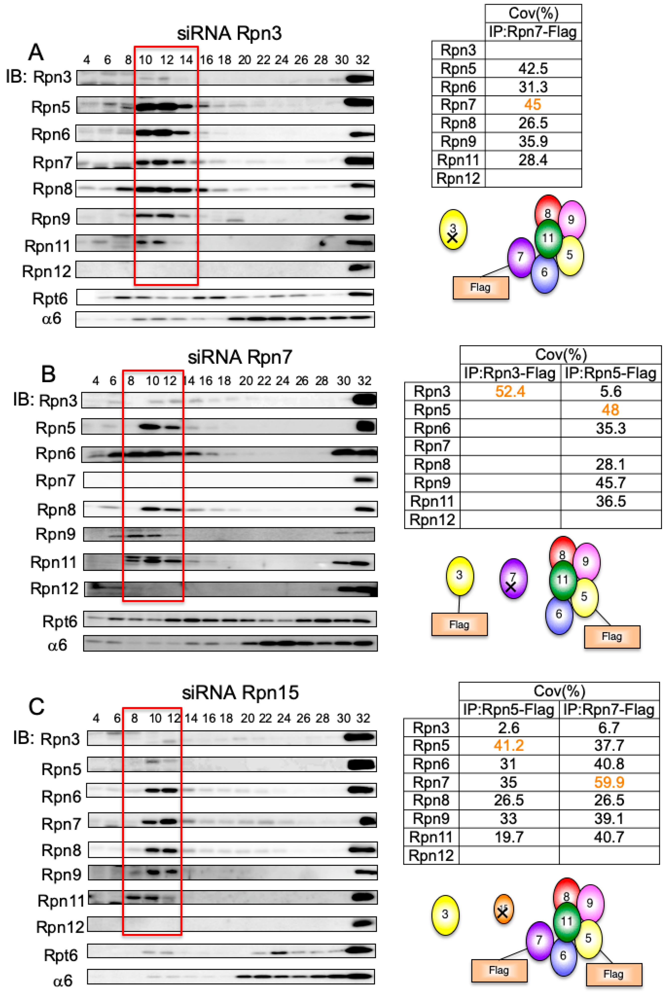 Biomolecules 09 00213 g006