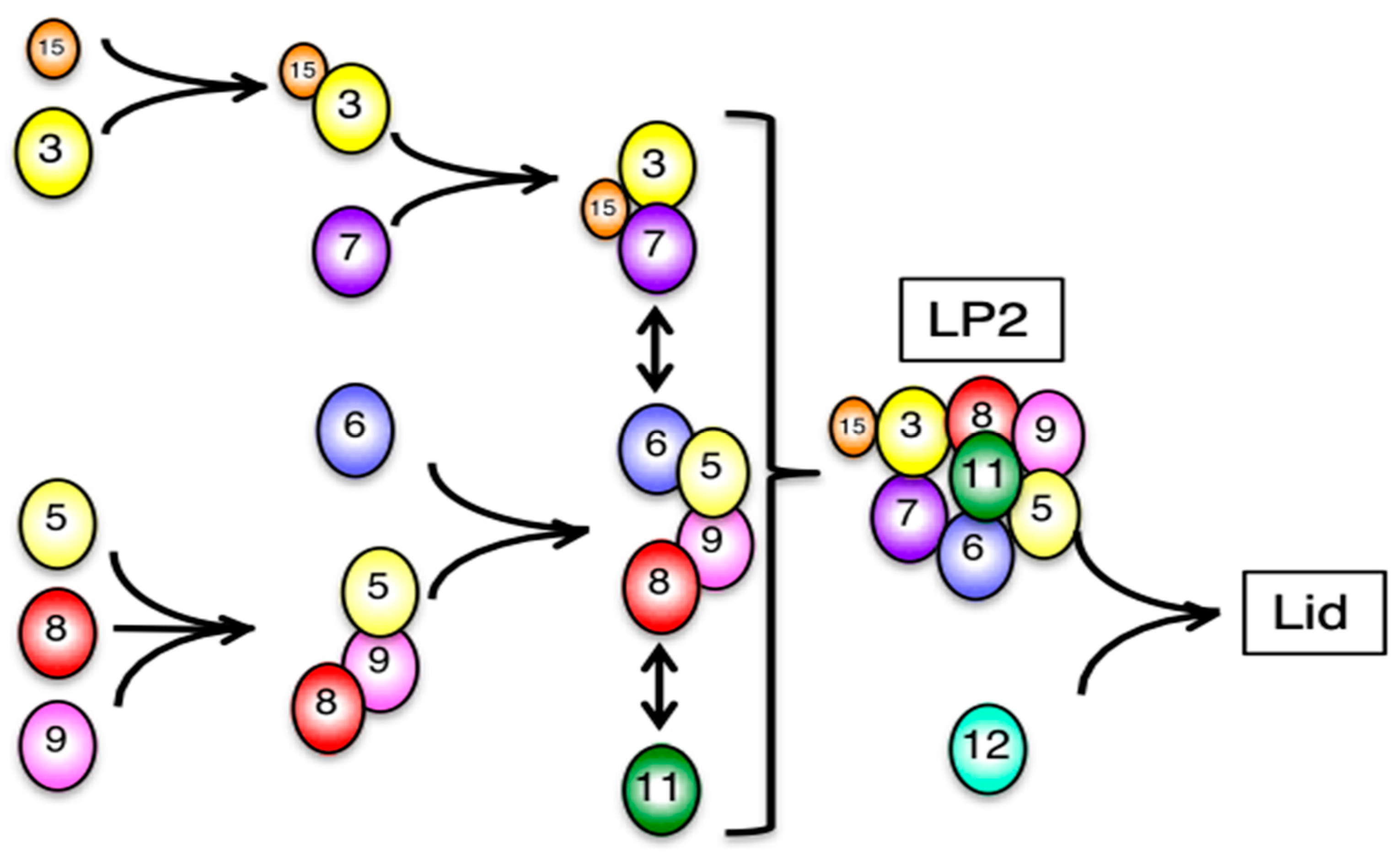 Biomolecules 09 00213 g009