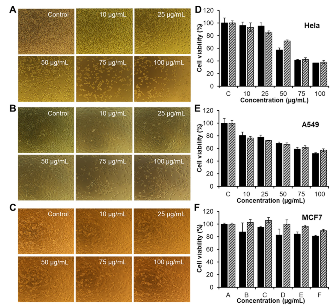 Biomolecules 09 00214 g008 Biomolecules 09 00214 g008