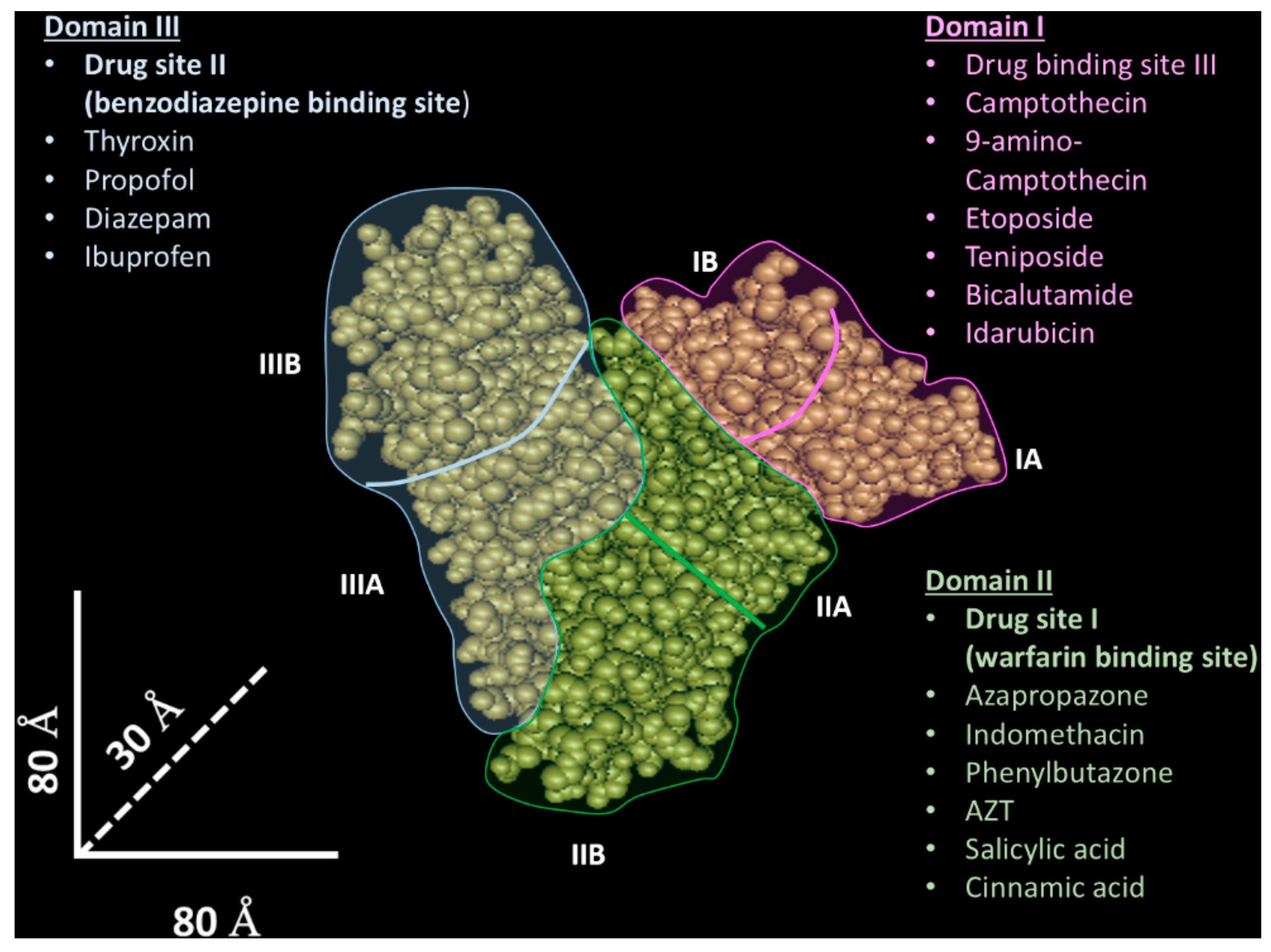 a prostatitis azt javaslom