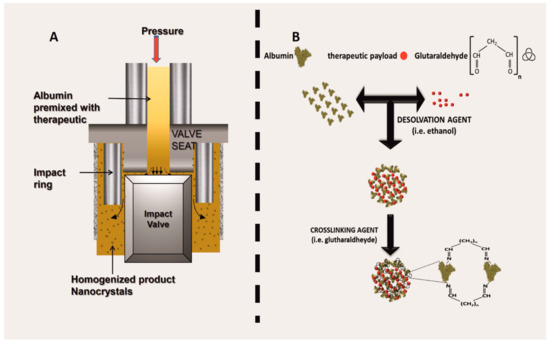 Biomolecules 09 00218 g002 550