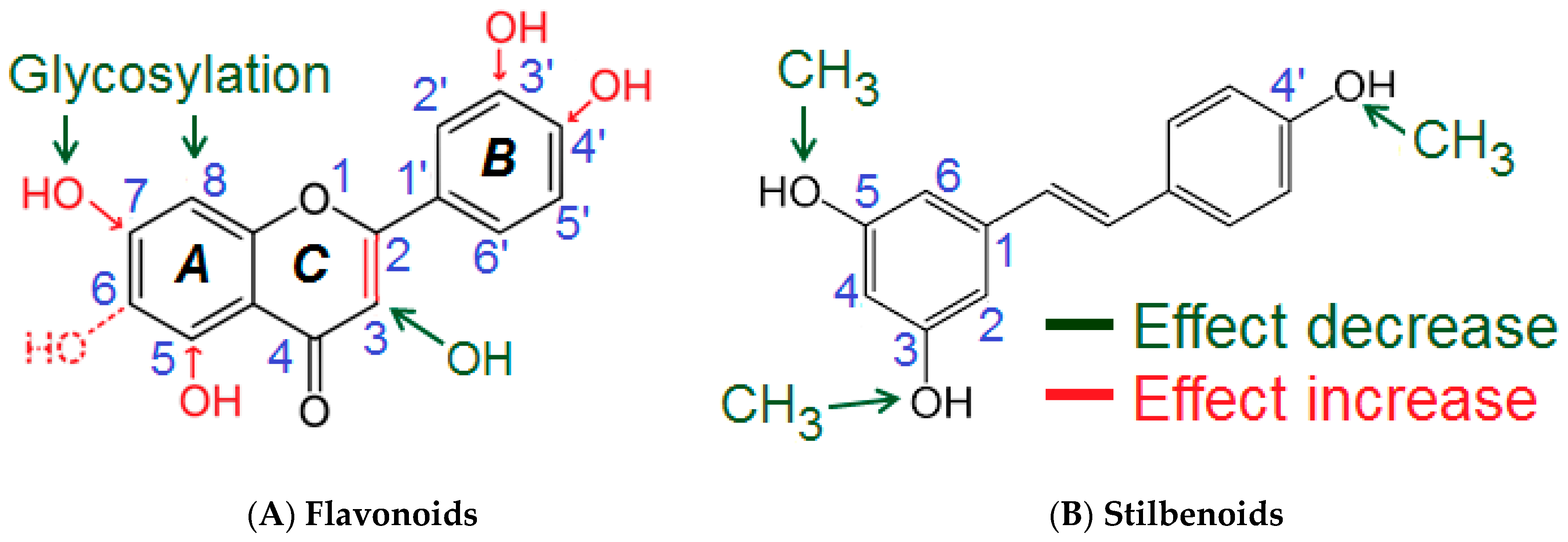 Biomolecules 09 00219 g004