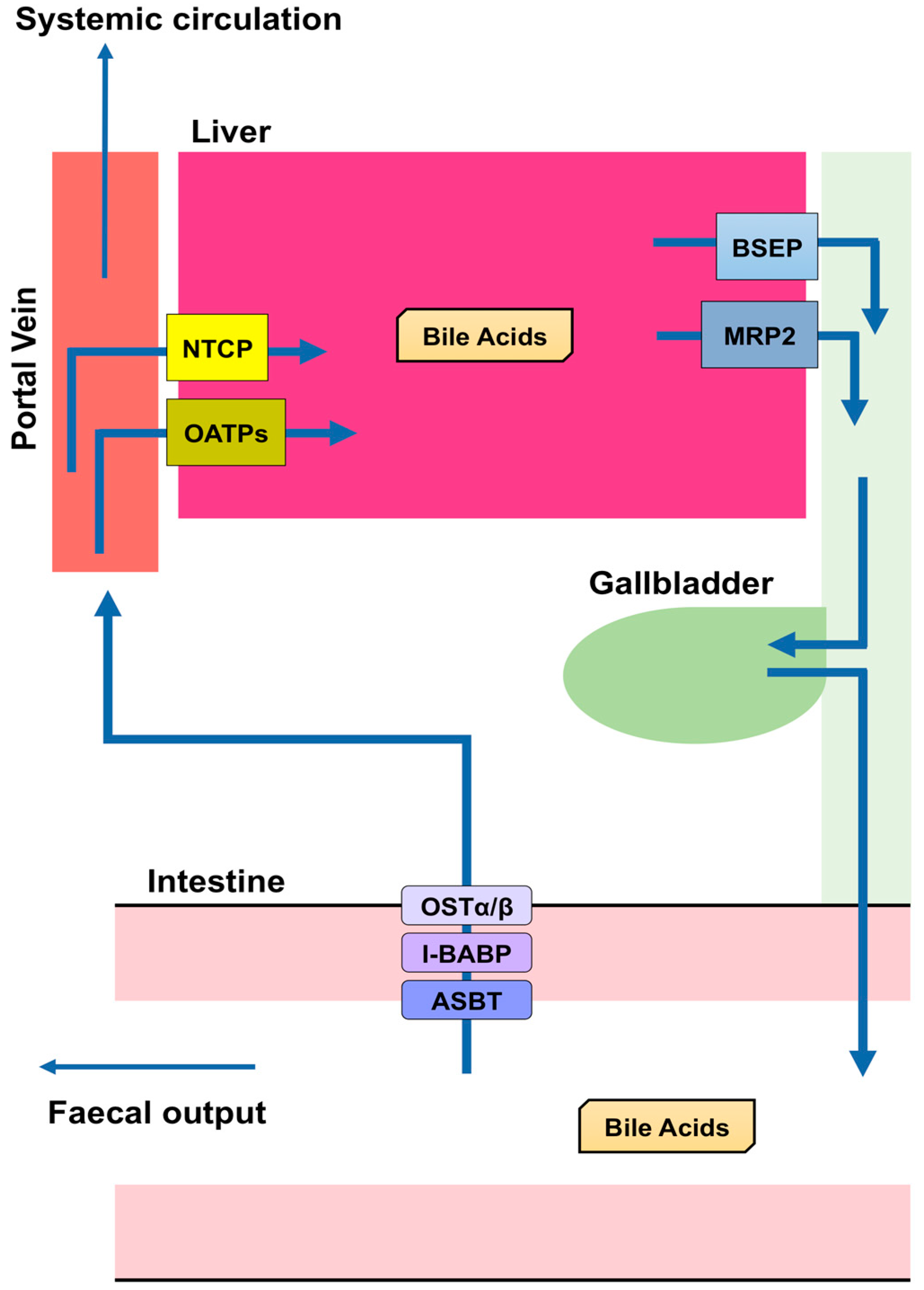 Biomolecules 09 00232 g002