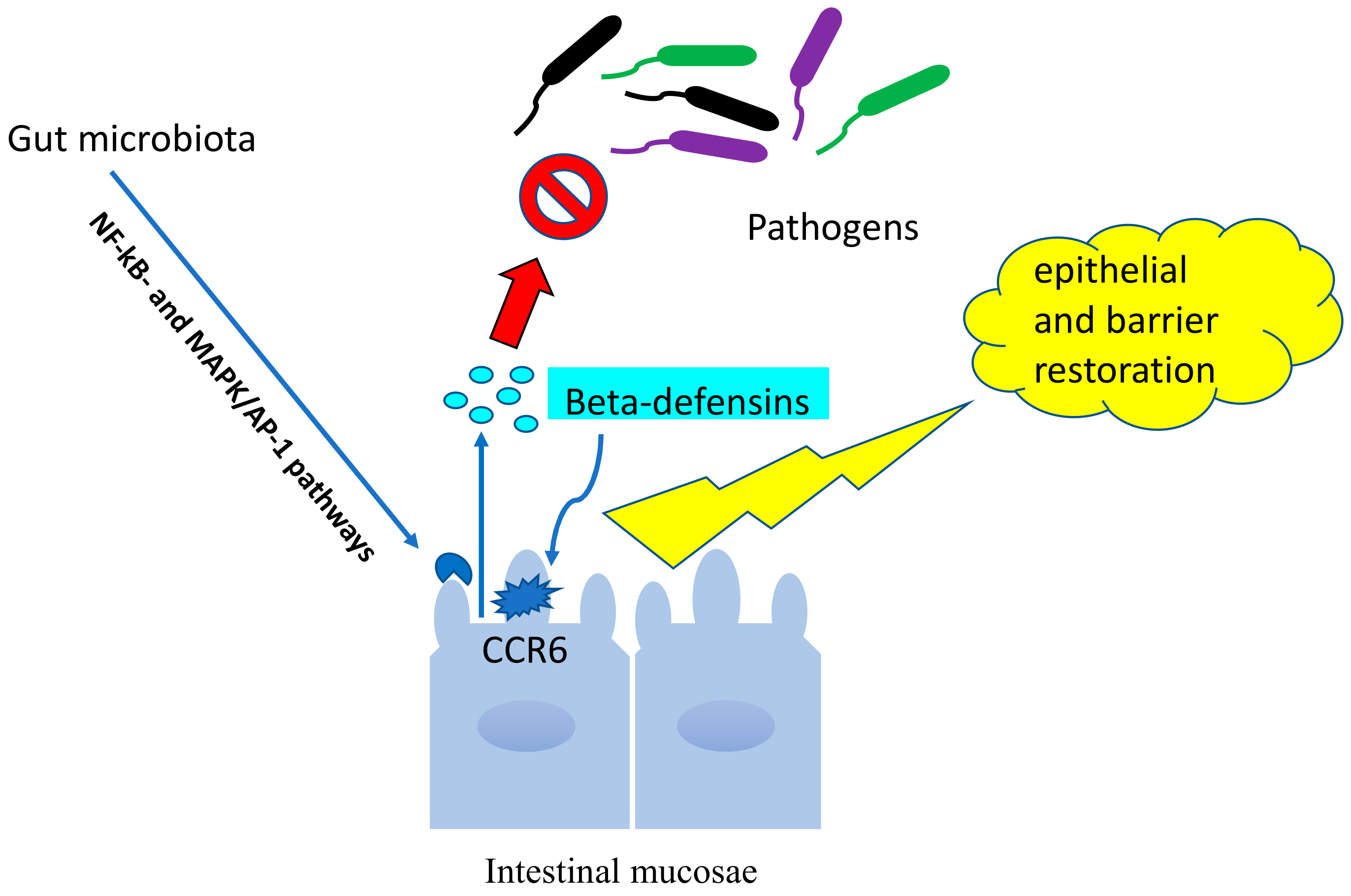 Biomolecules 09 00237 g005 Biomolecules 09 00237 g005