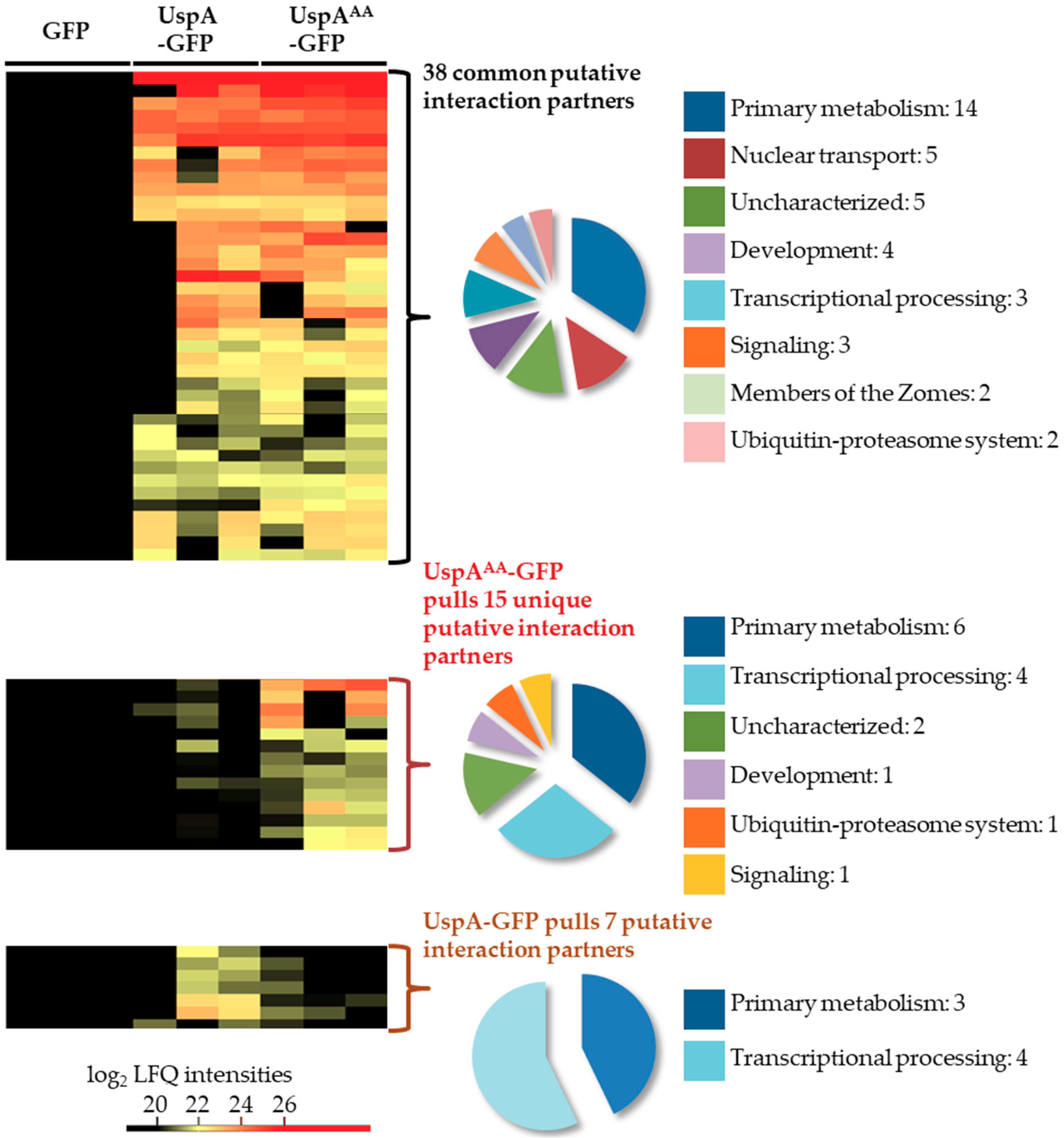 Biomolecules 09 00238 g003 Biomolecules 09 00238 g003