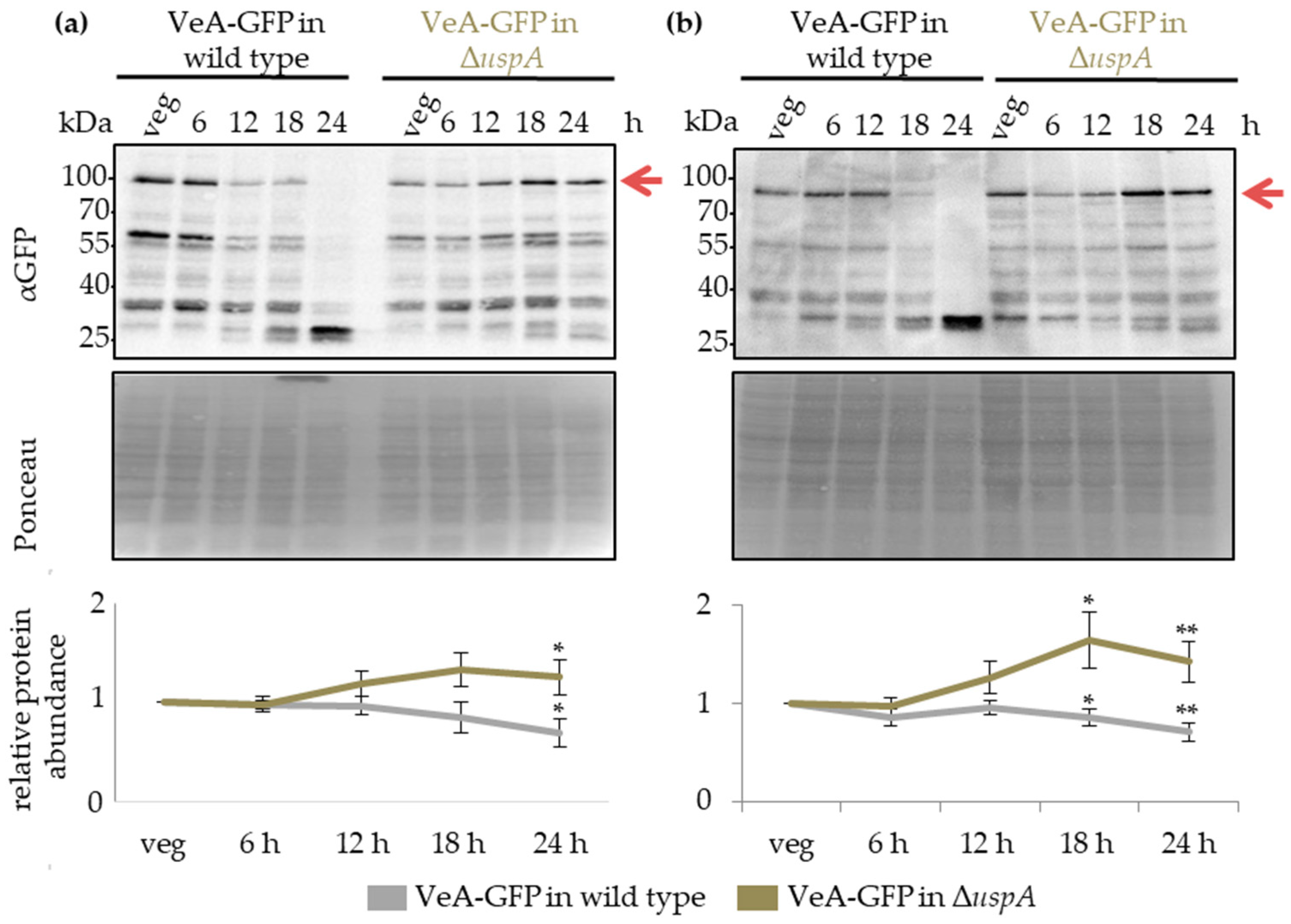 Biomolecules 09 00238 g008 Biomolecules 09 00238 g008