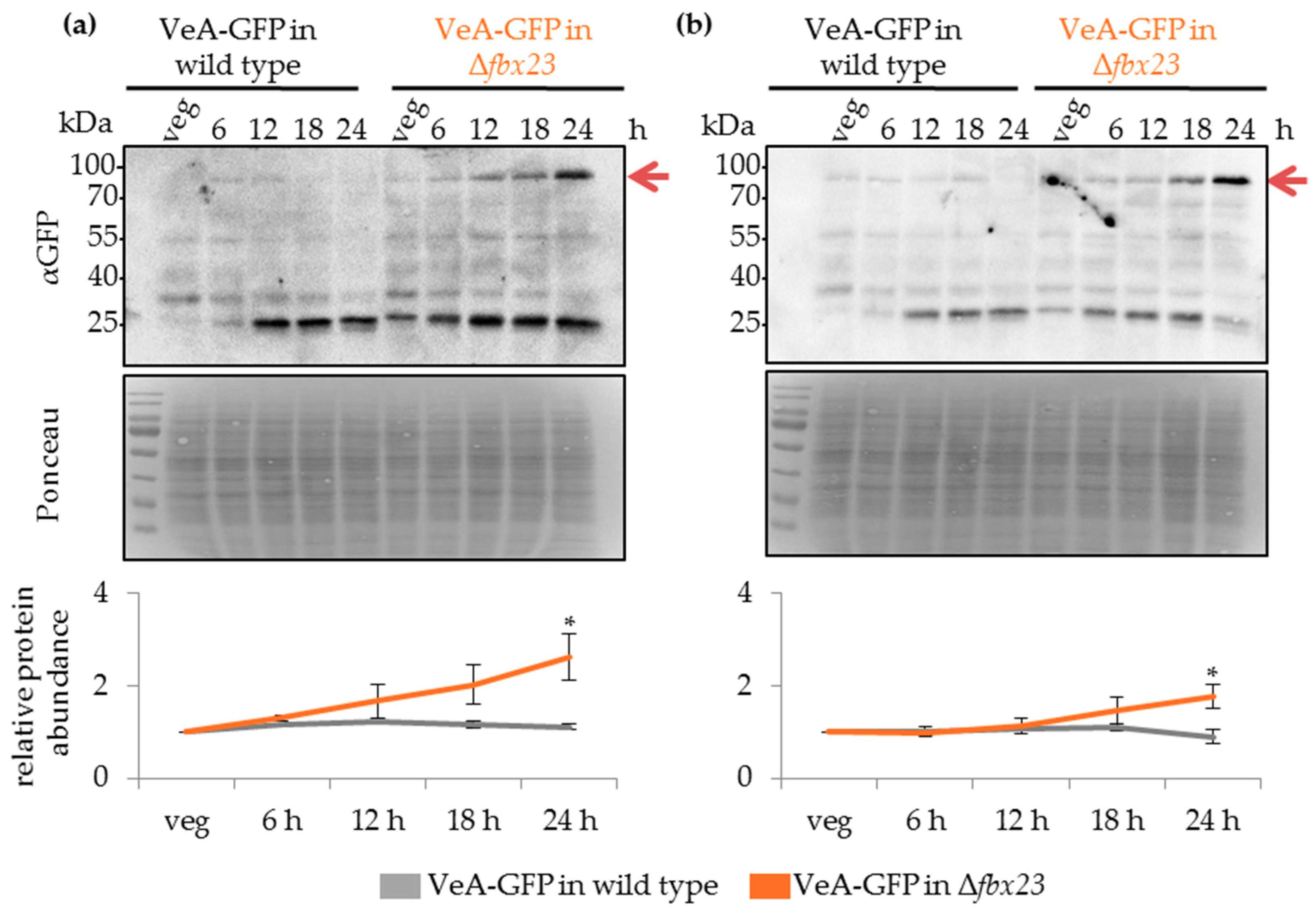 Biomolecules 09 00238 g009 Biomolecules 09 00238 g009