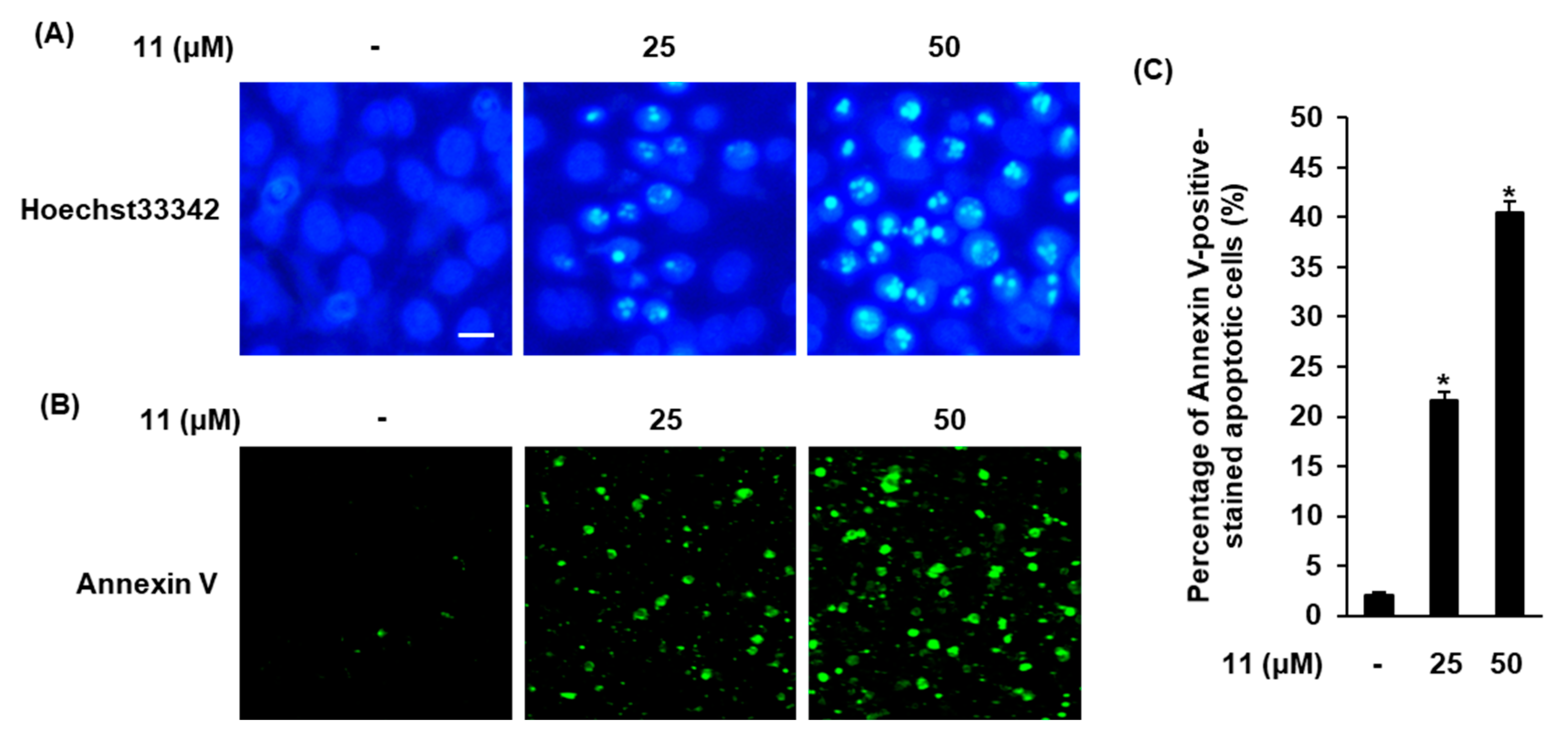Biomolecules 09 00257 g004