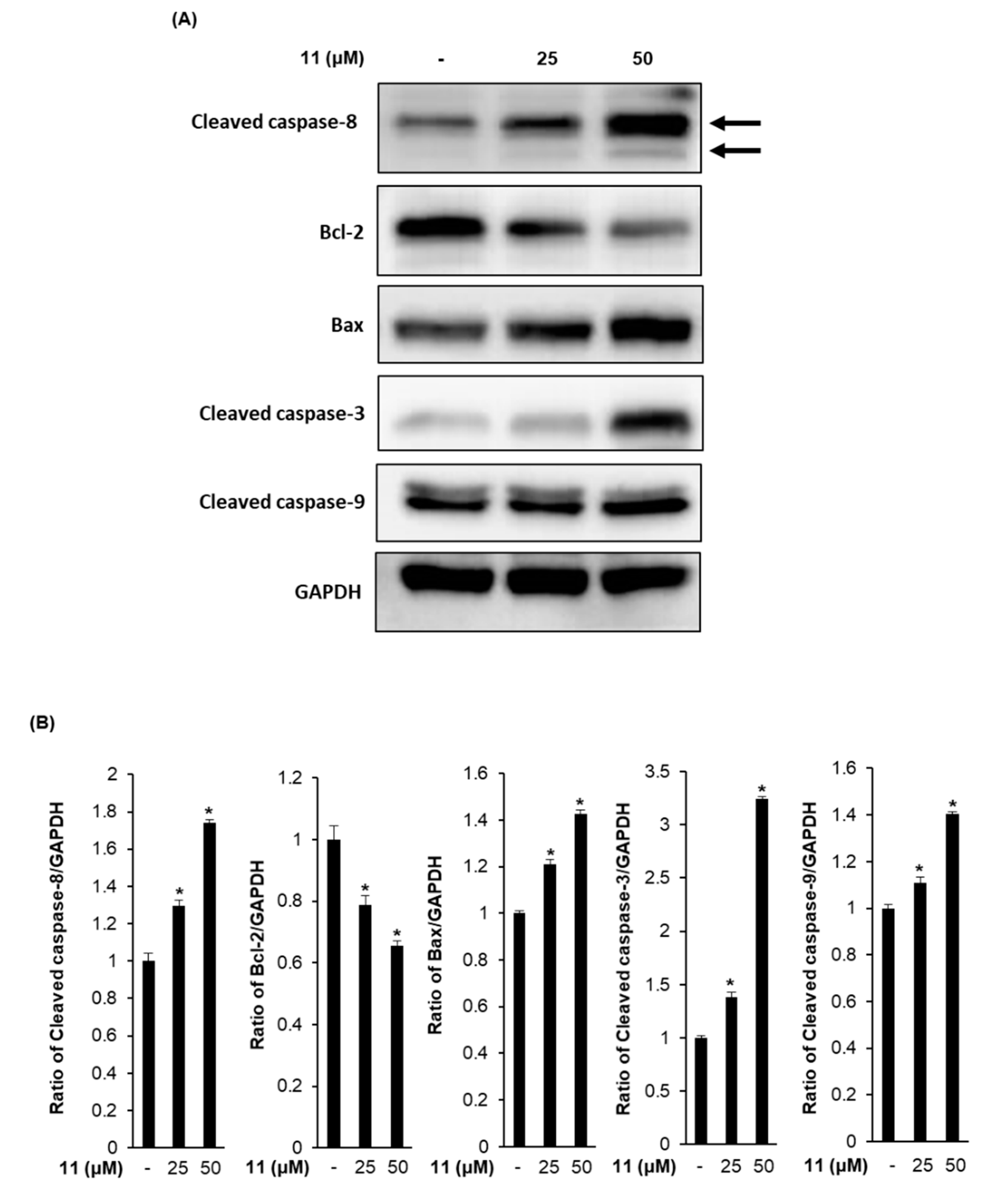 Biomolecules 09 00257 g005