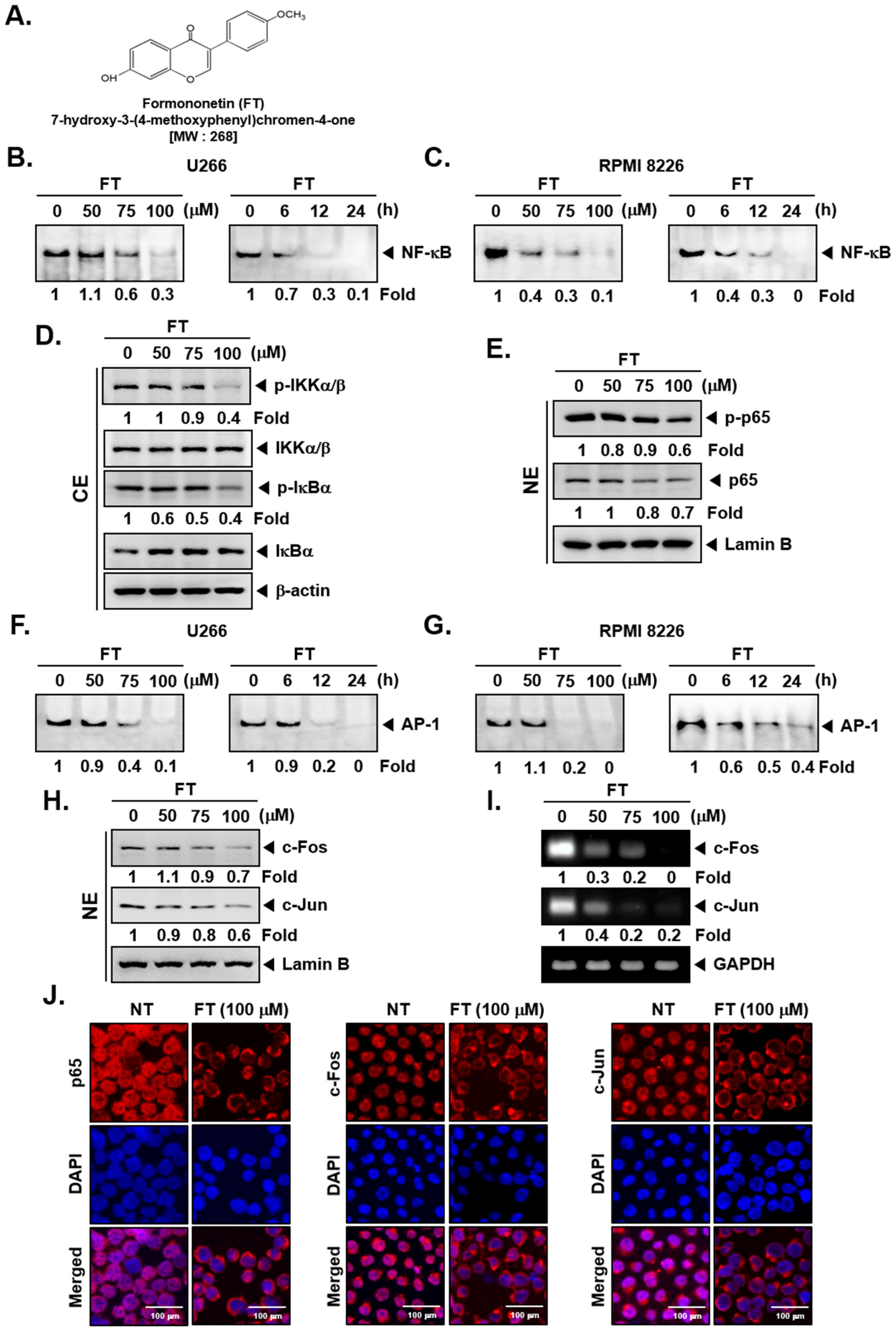 Biomolecules 09 00262 g001 Biomolecules 09 00262 g001