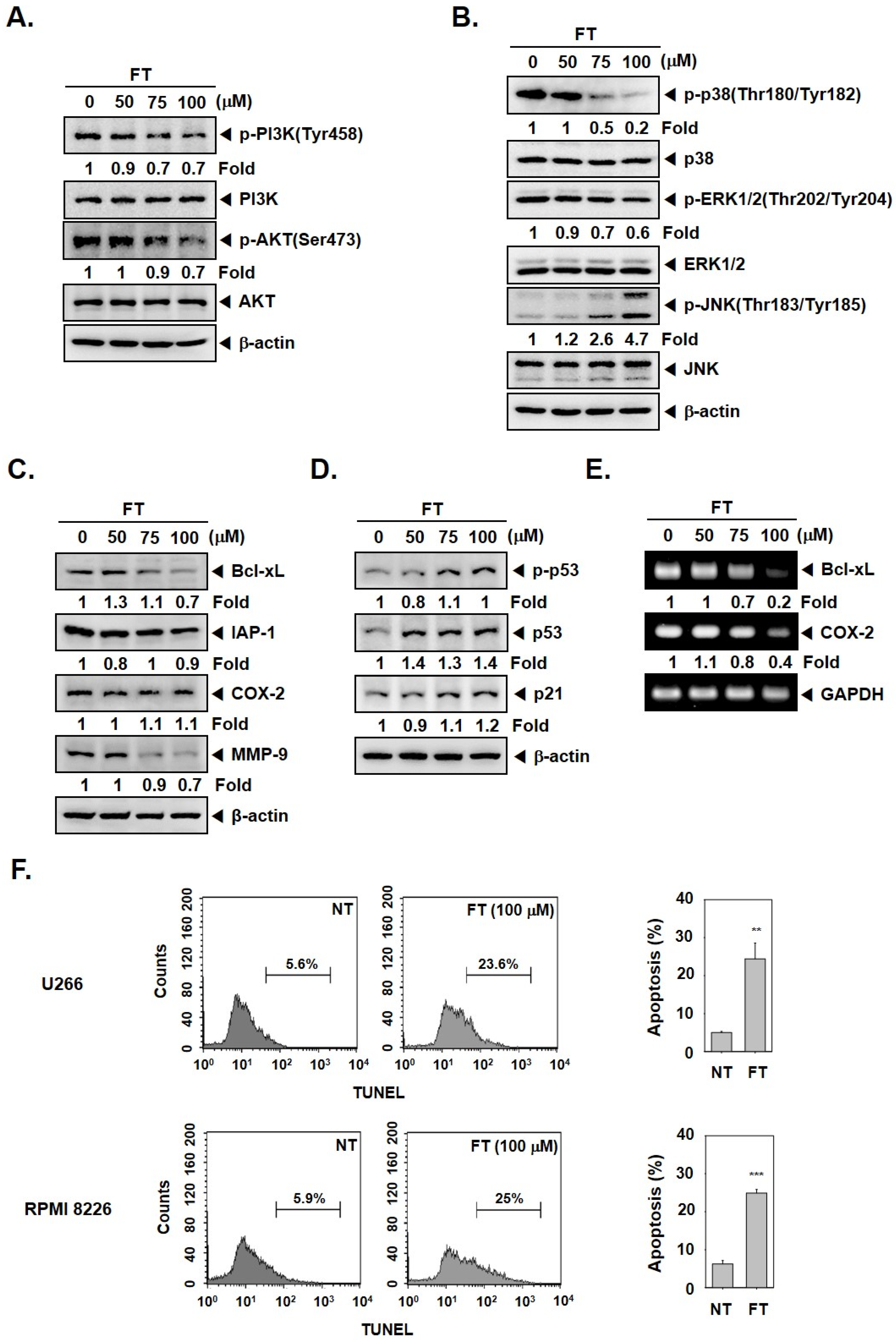 Biomolecules 09 00262 g002 Biomolecules 09 00262 g002
