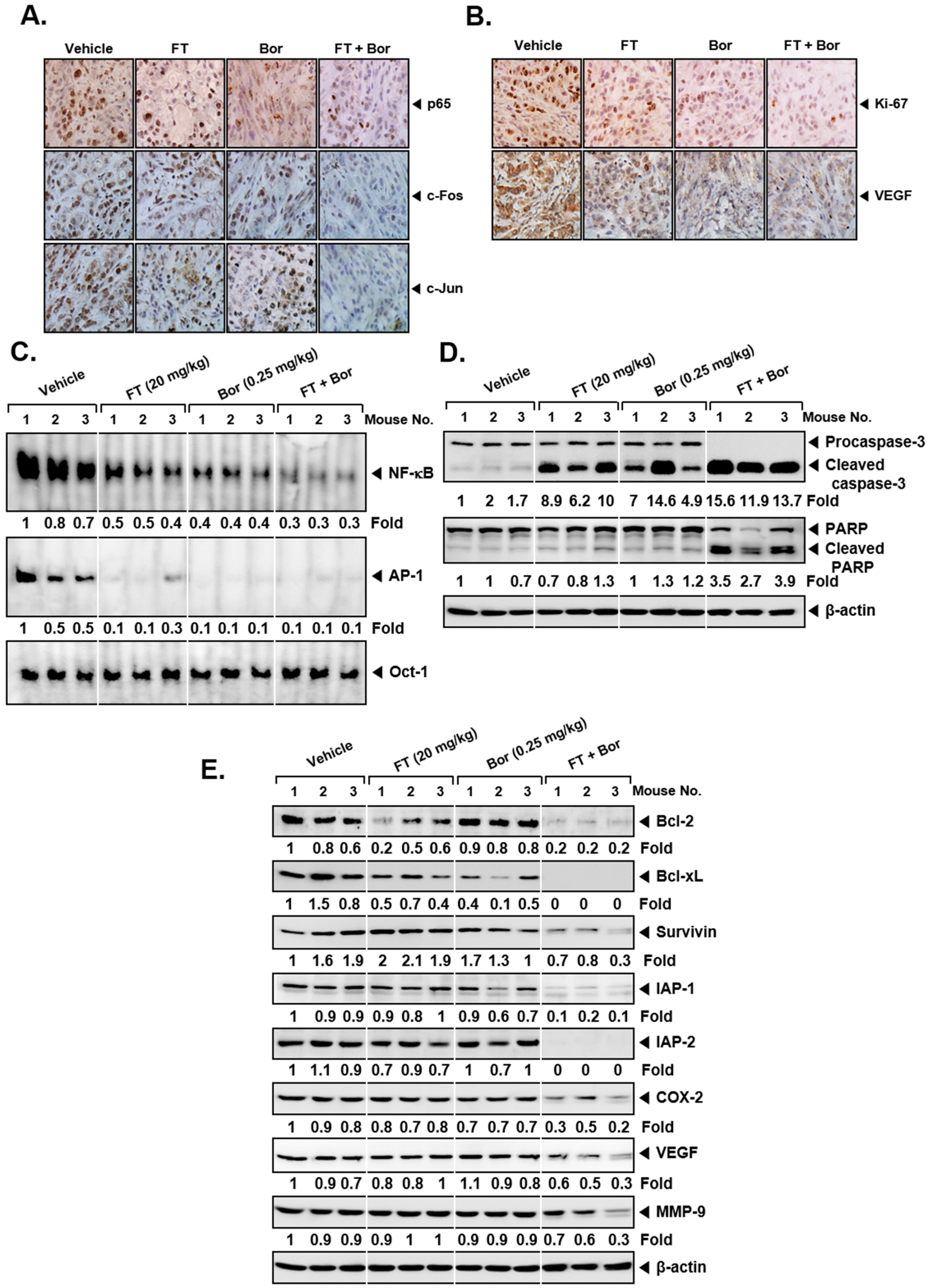 Biomolecules 09 00262 g006 Biomolecules 09 00262 g006