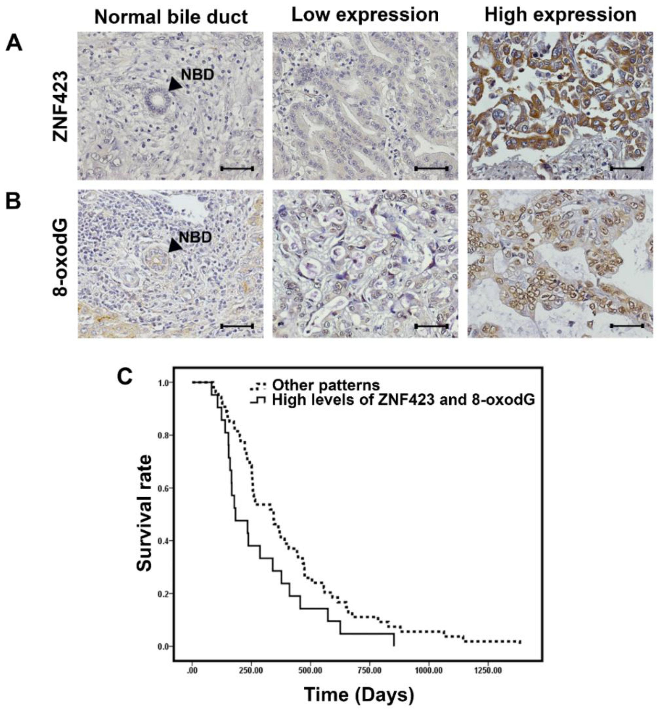 Biomolecules 09 00263 g001