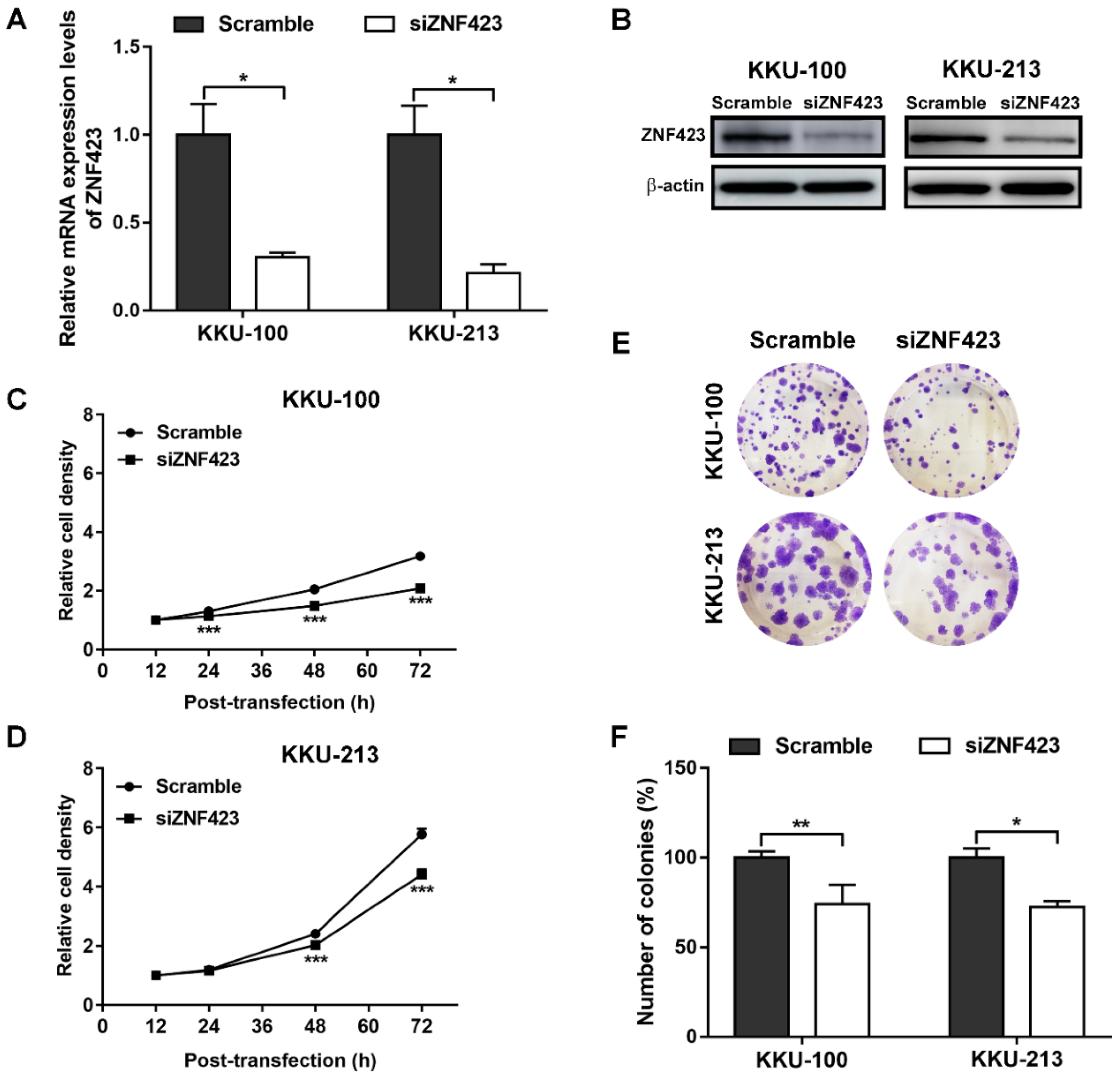 Biomolecules 09 00263 g003