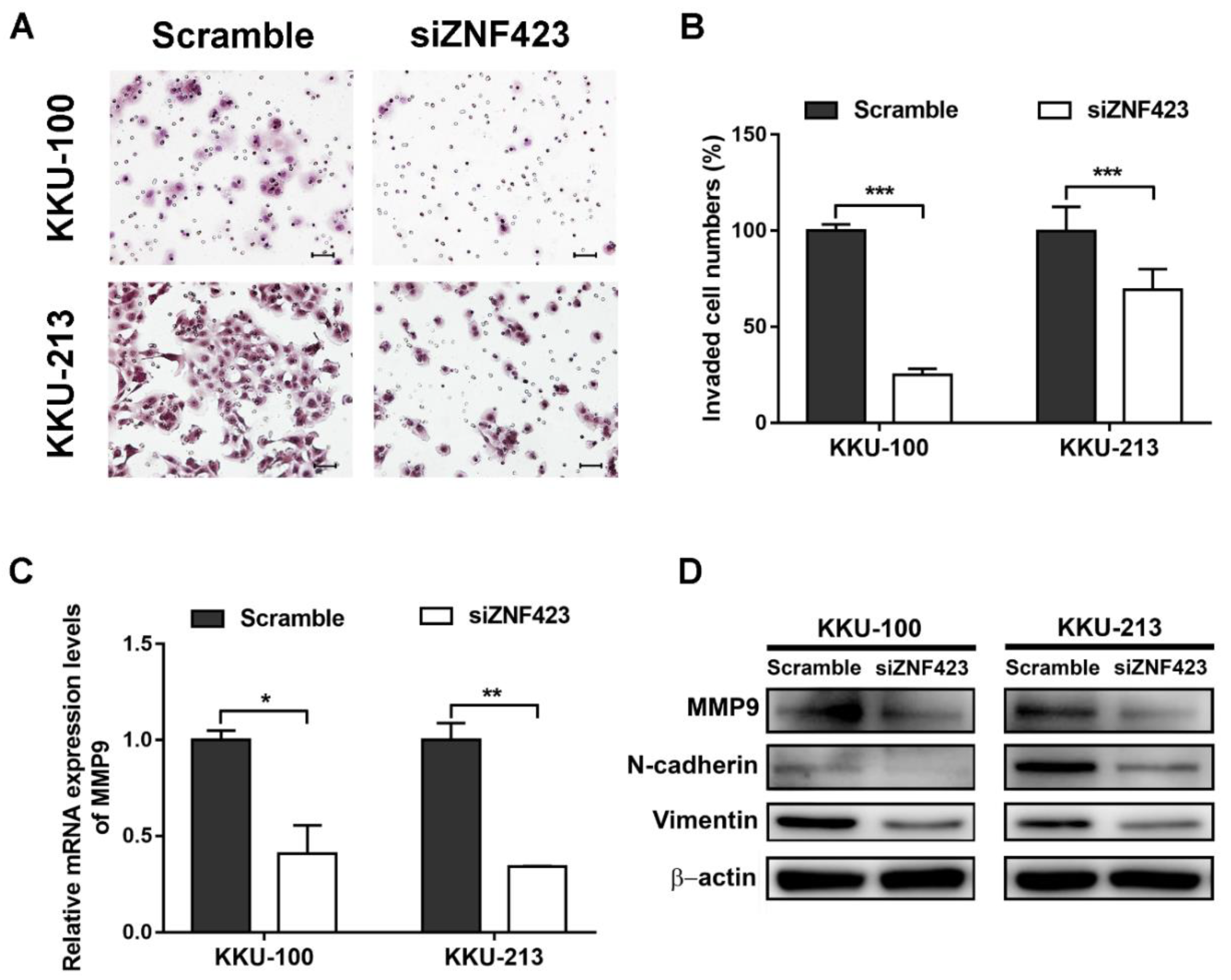 Biomolecules 09 00263 g004