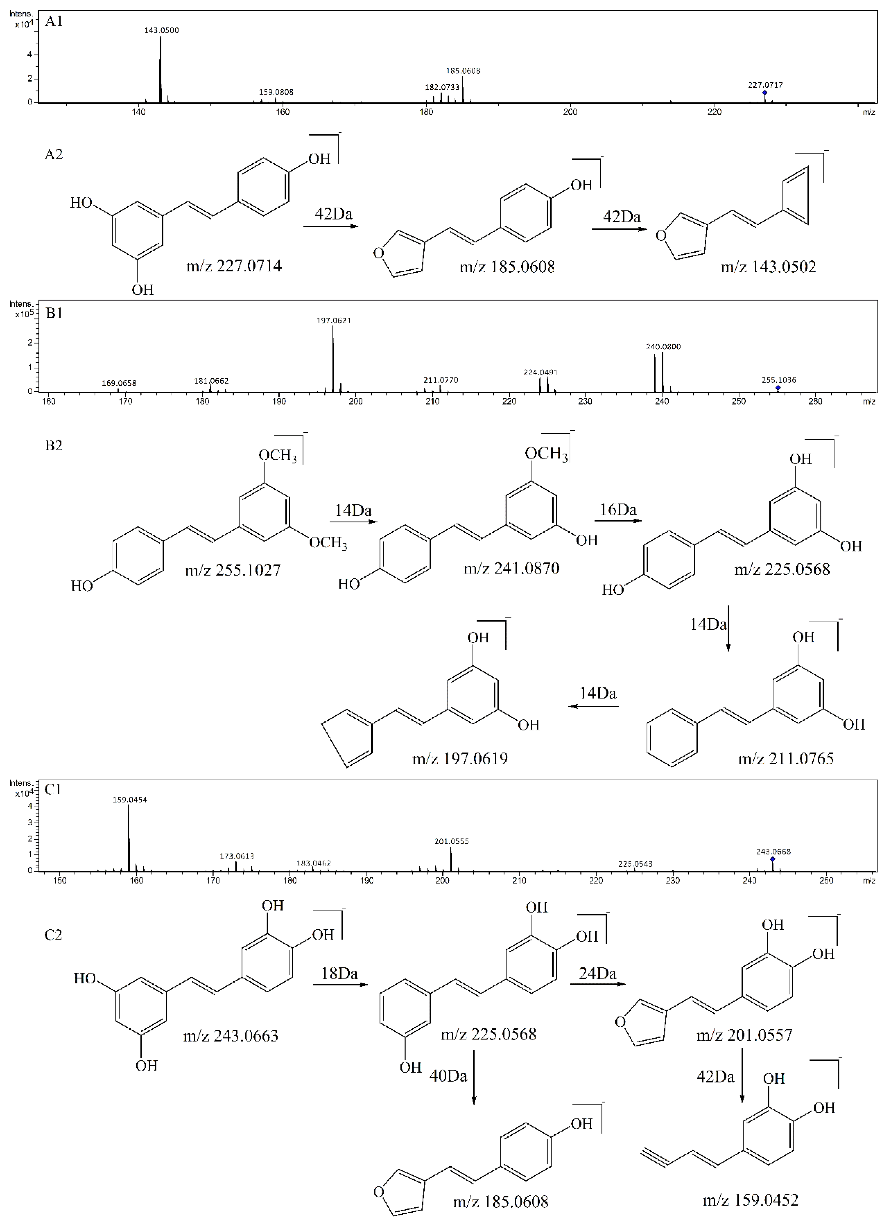Biomolecules 09 00268 g002