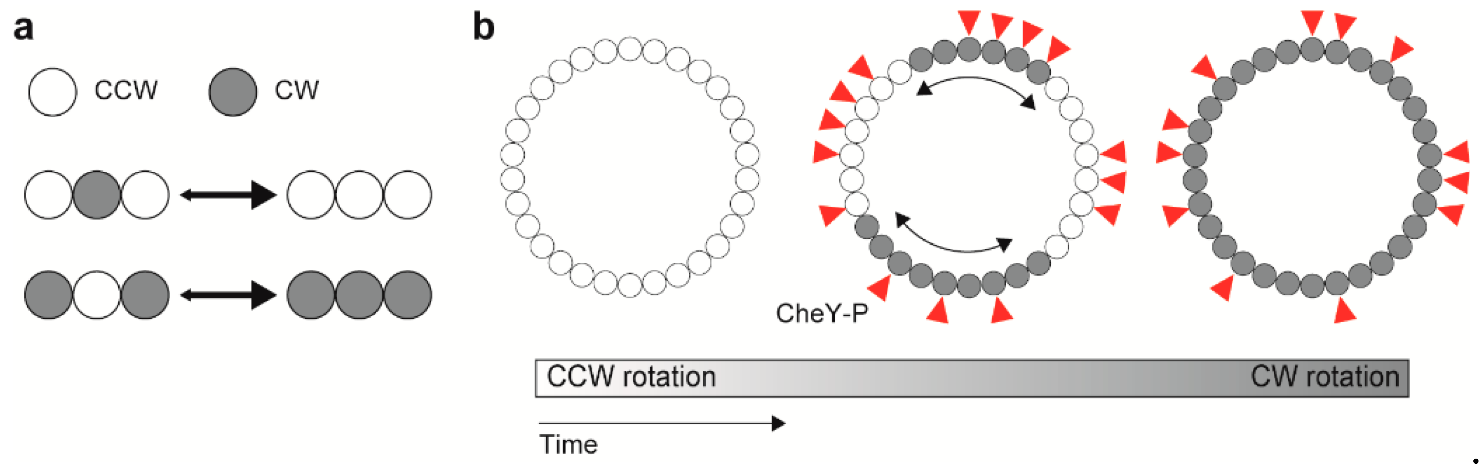 Biomolecules 09 00279 g005