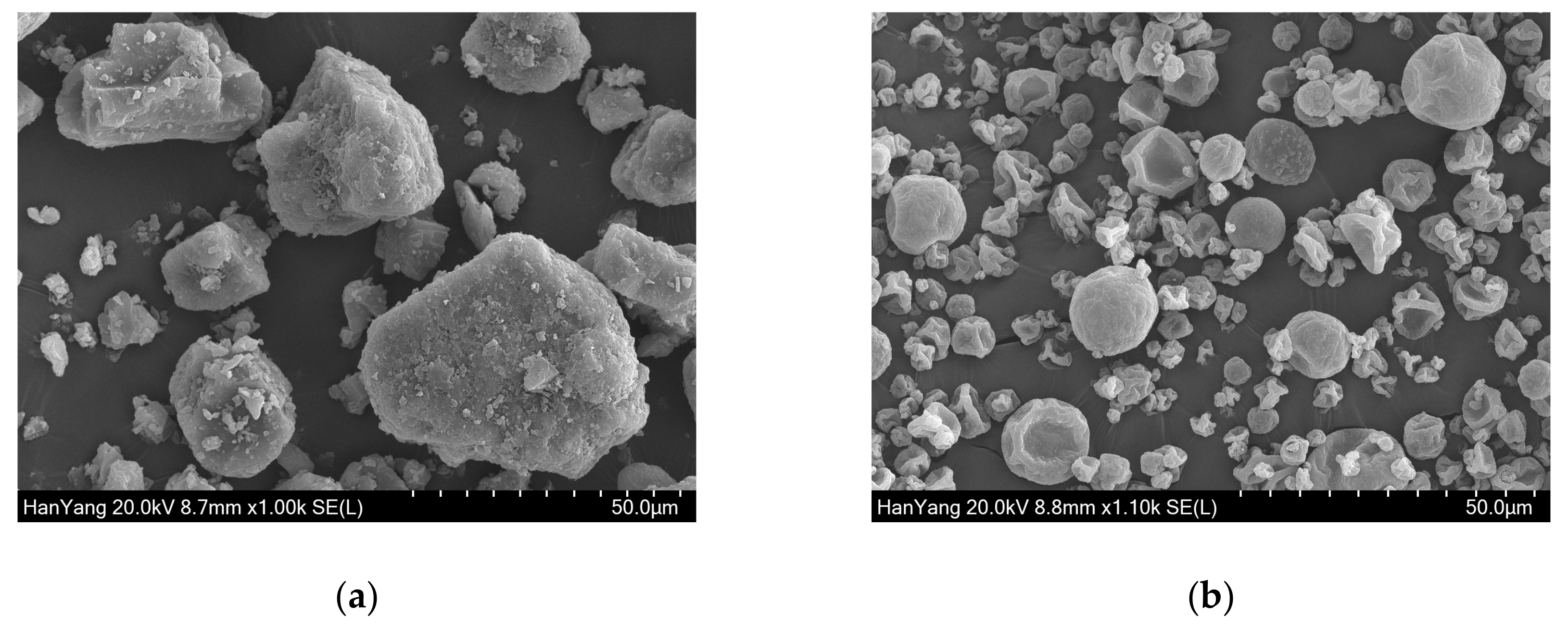 Biomolecules 09 00281 g001
