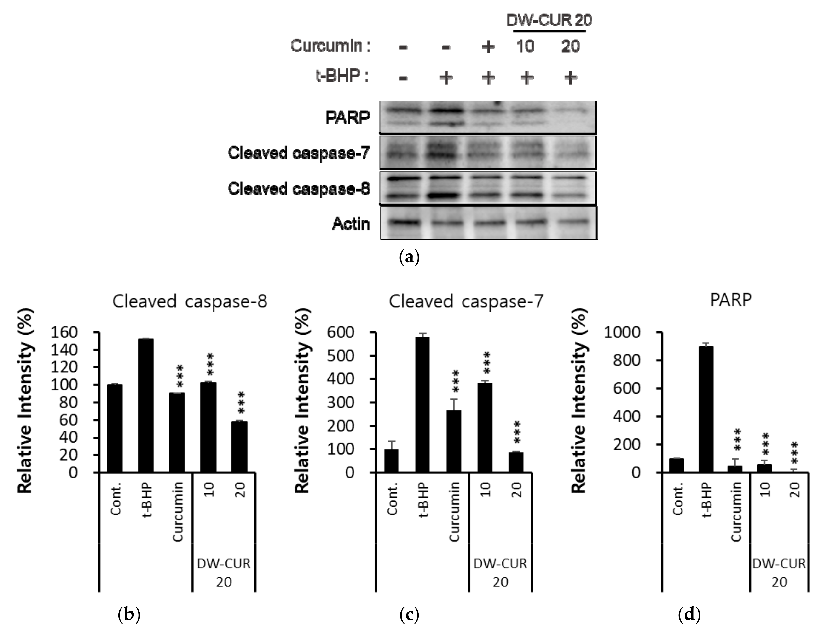 Biomolecules 09 00281 g006