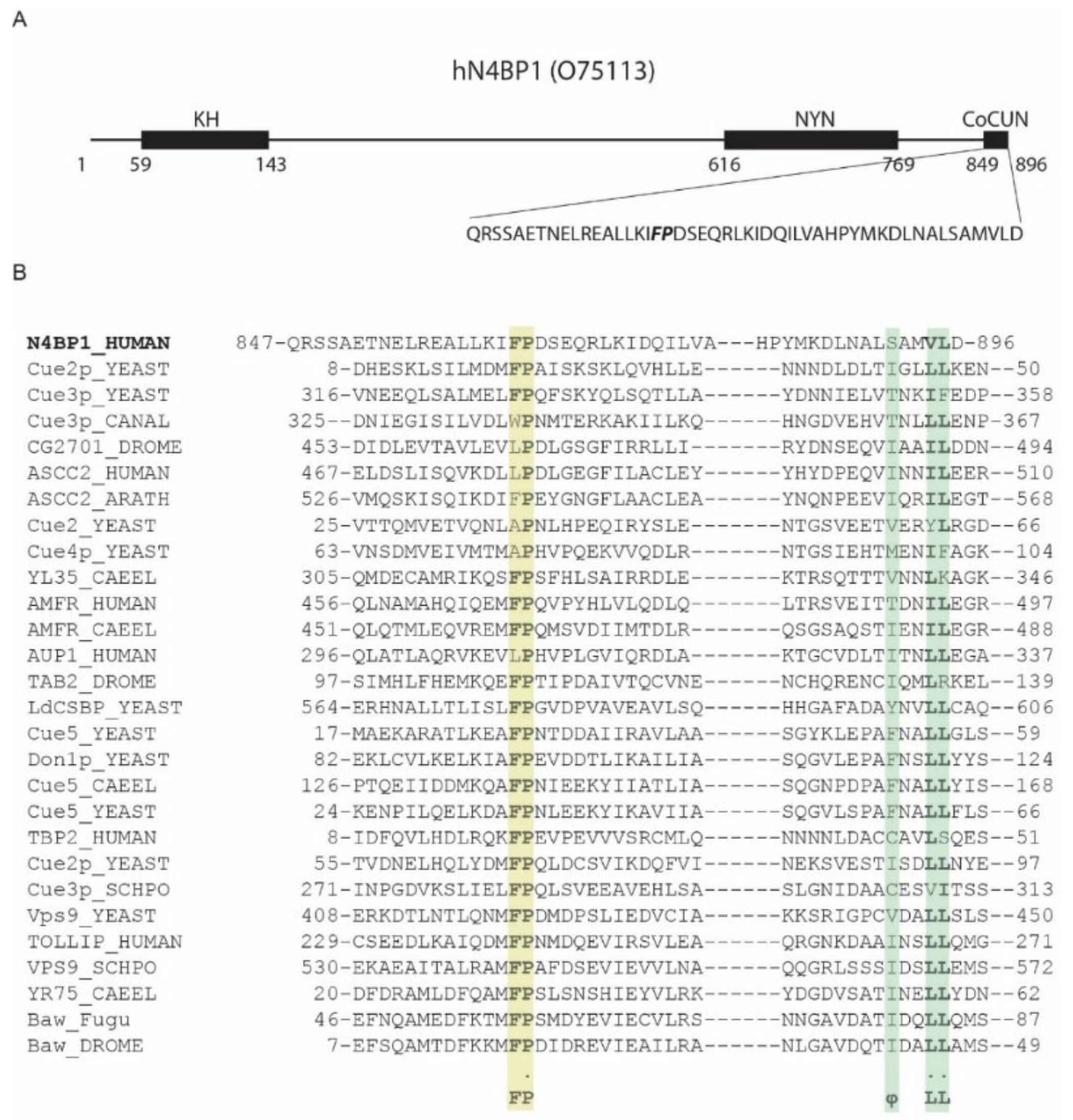 Biomolecules 09 00284 g001