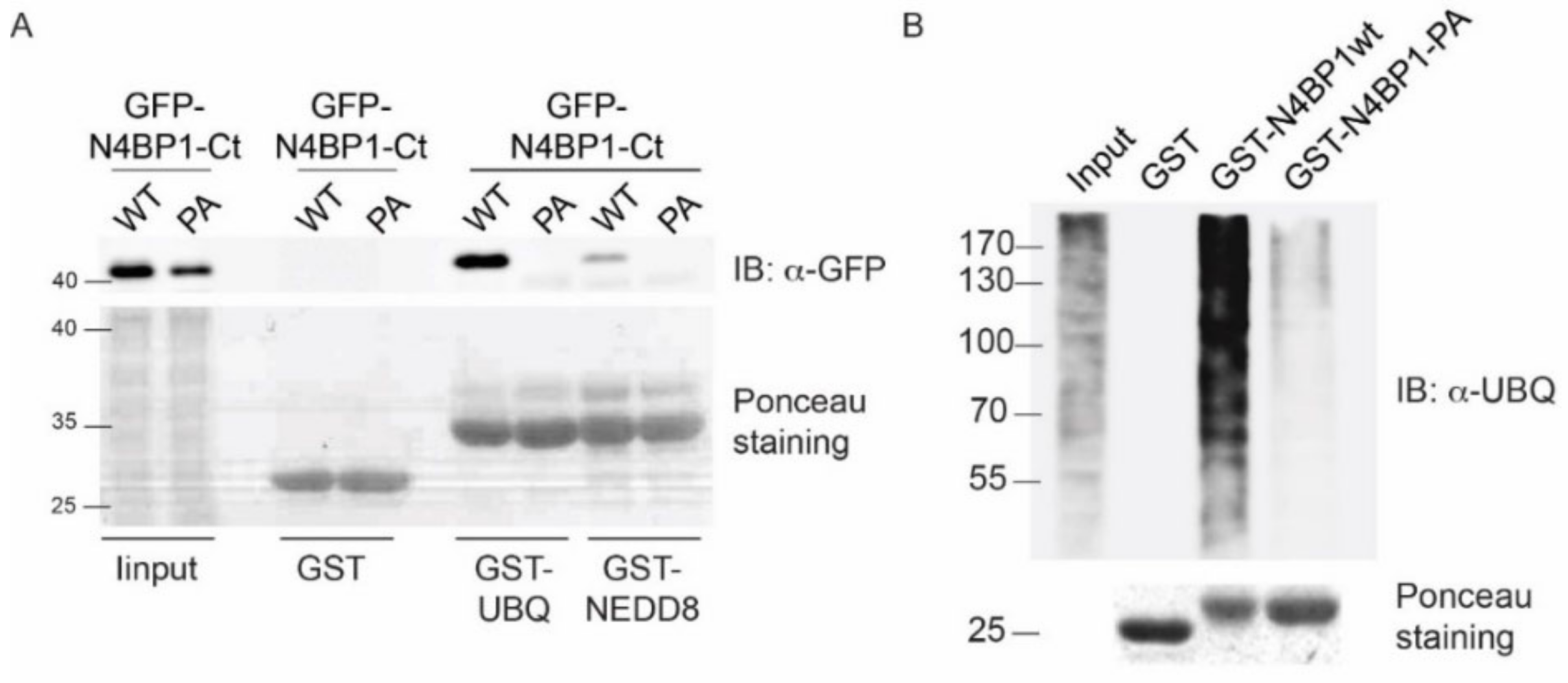 Biomolecules 09 00284 g002