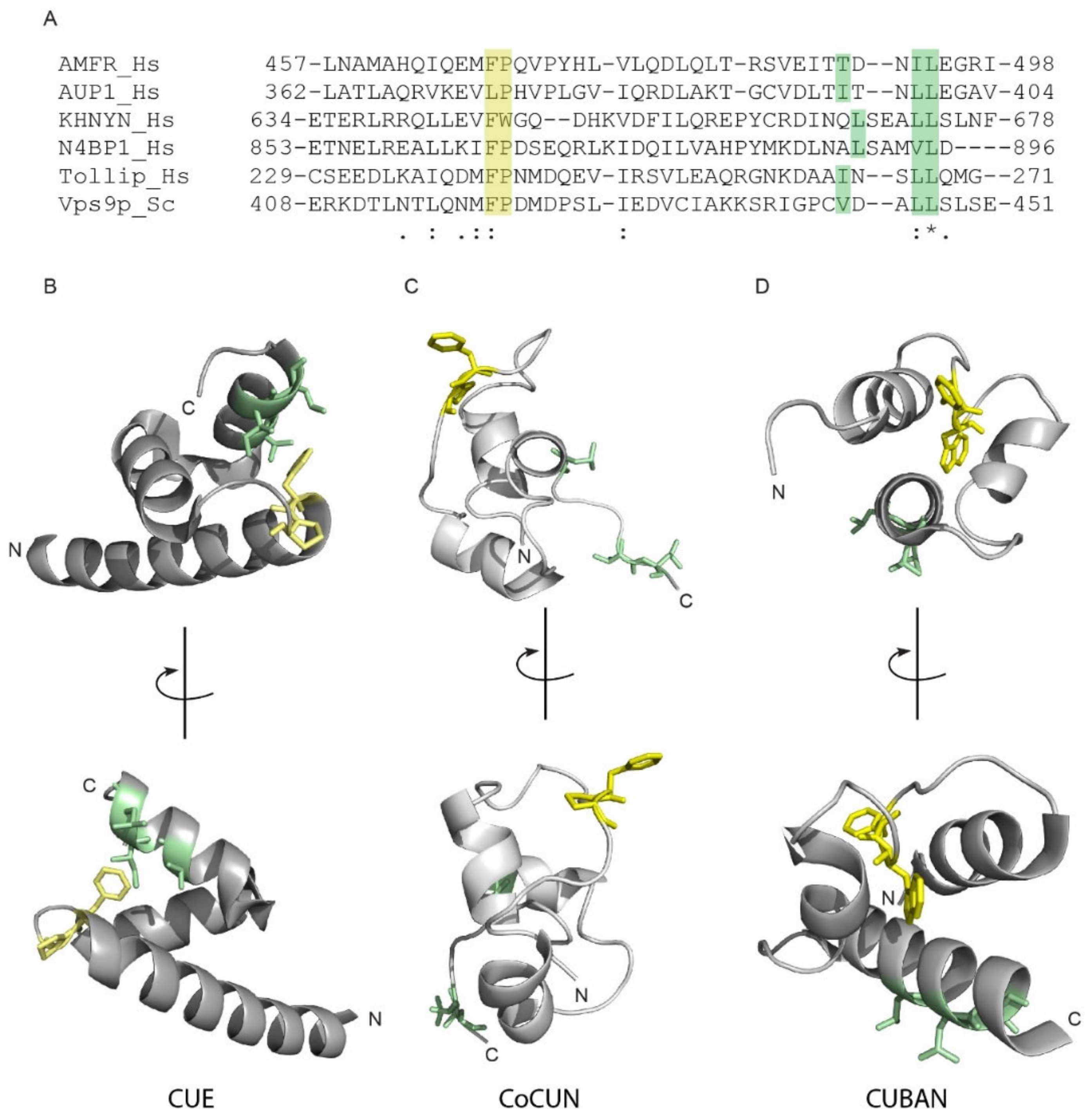 Biomolecules 09 00284 g008