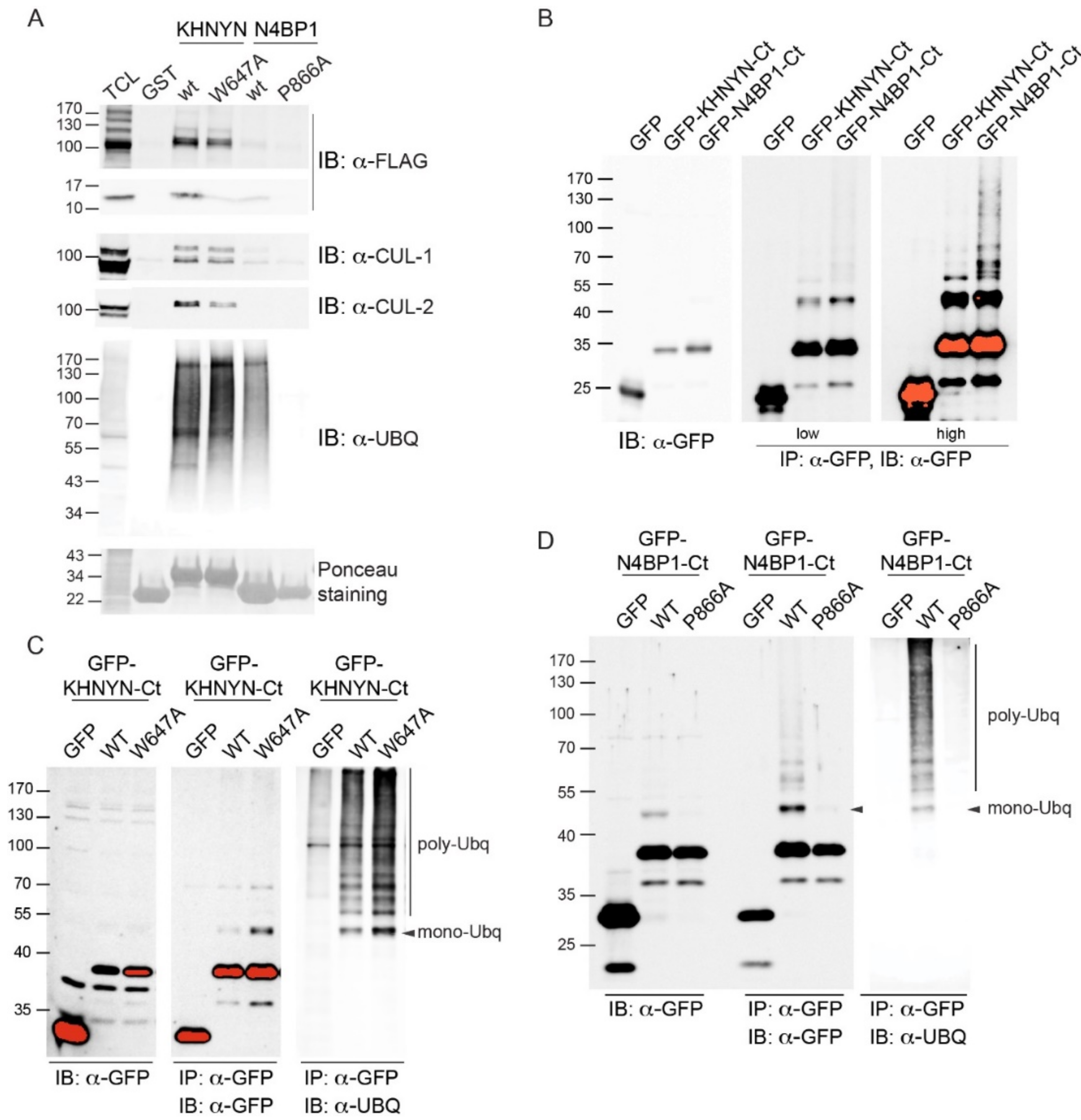 Biomolecules 09 00284 g009