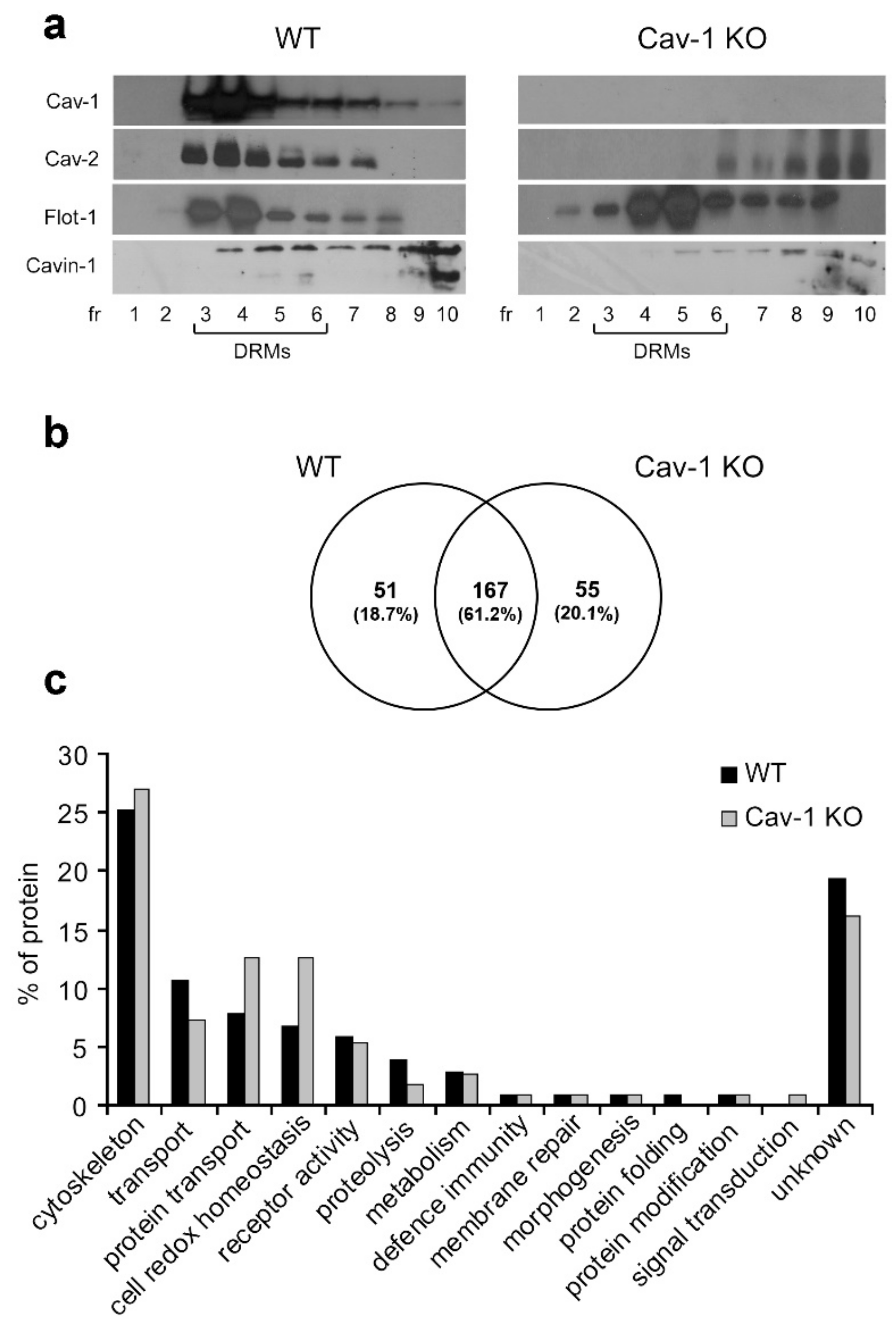 Biomolecules 09 00287 g001