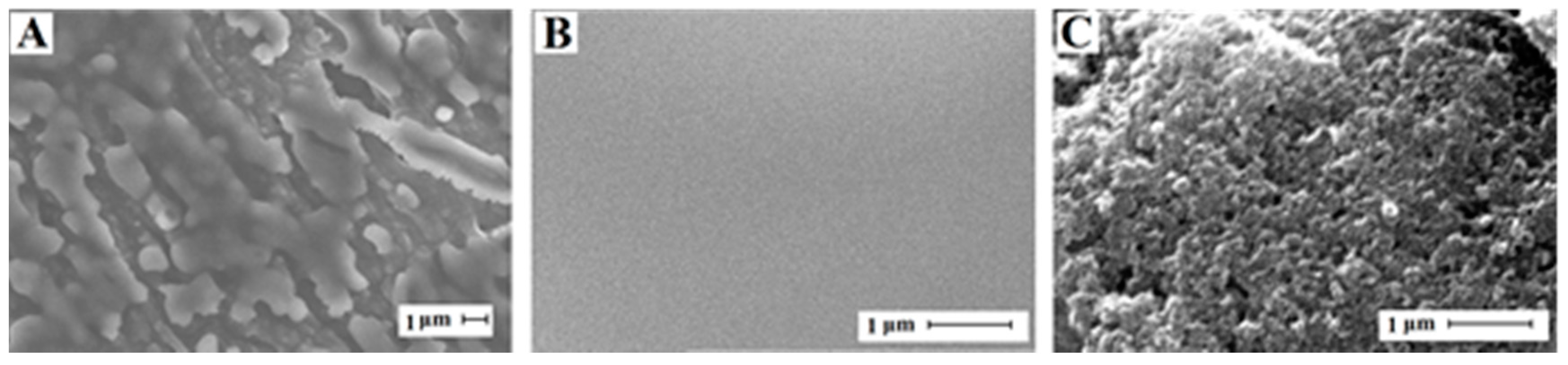 Biomolecules 09 00294 g003