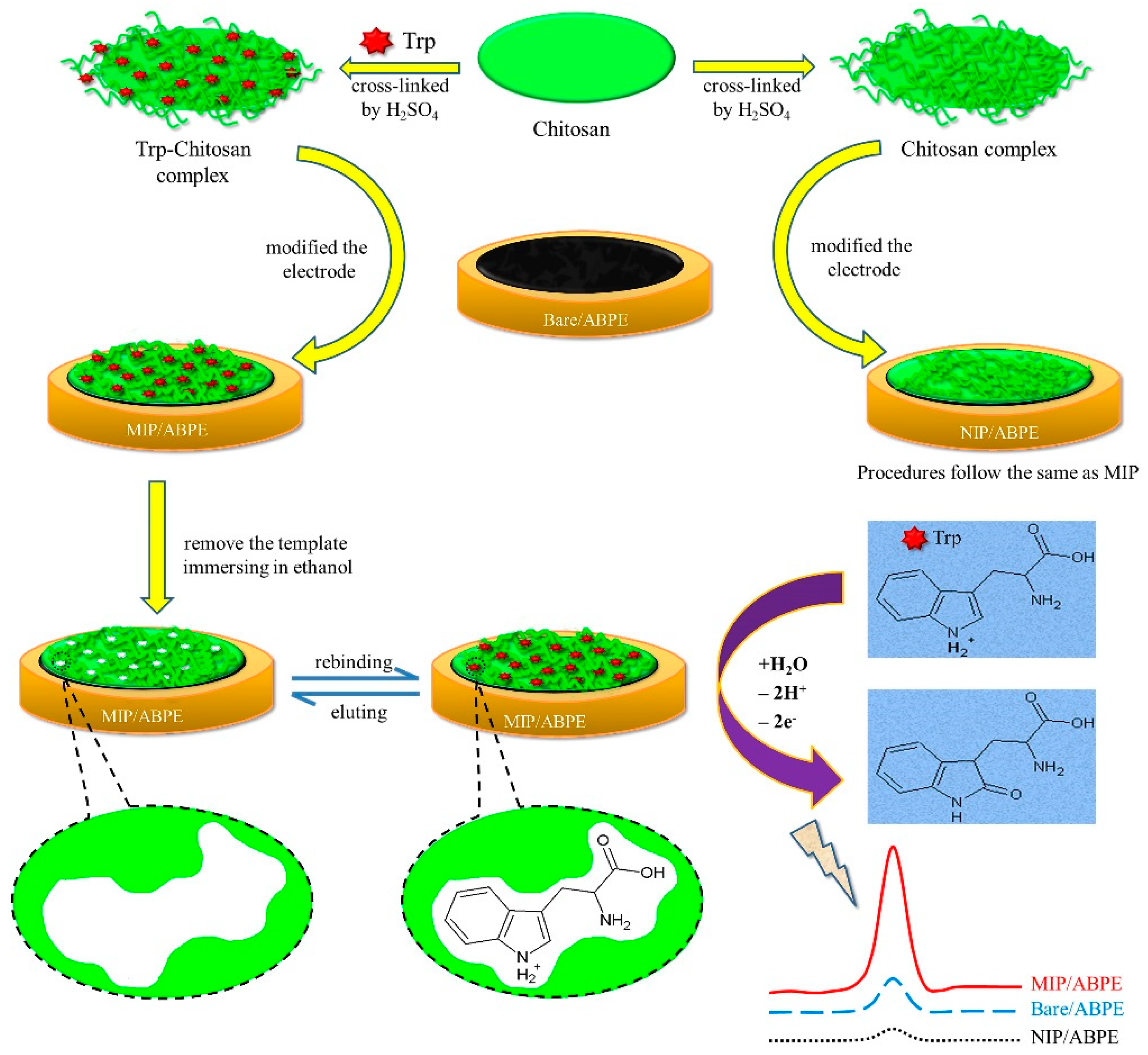 Biomolecules 09 00294 sch001