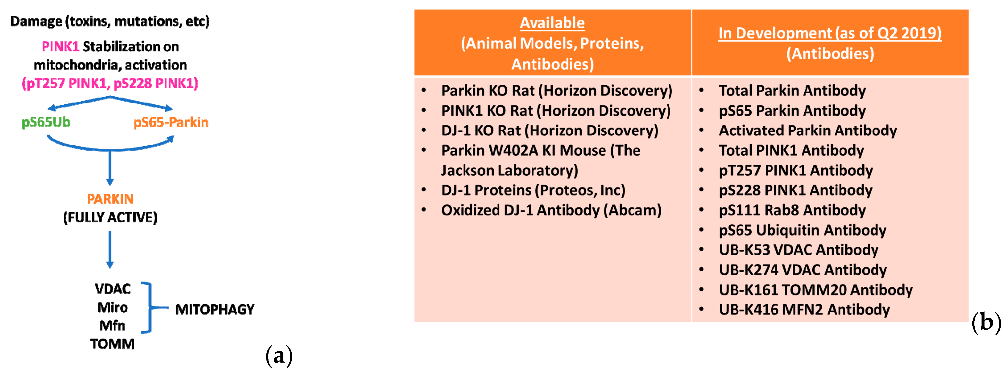Biomolecules 09 00296 g001 Biomolecules 09 00296 g001