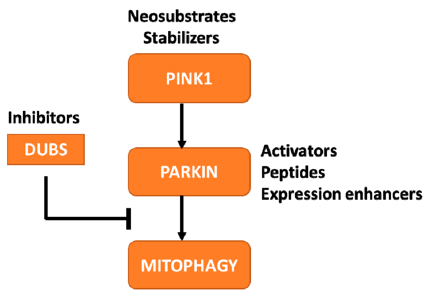 Biomolecules 09 00296 g002 Biomolecules 09 00296 g002