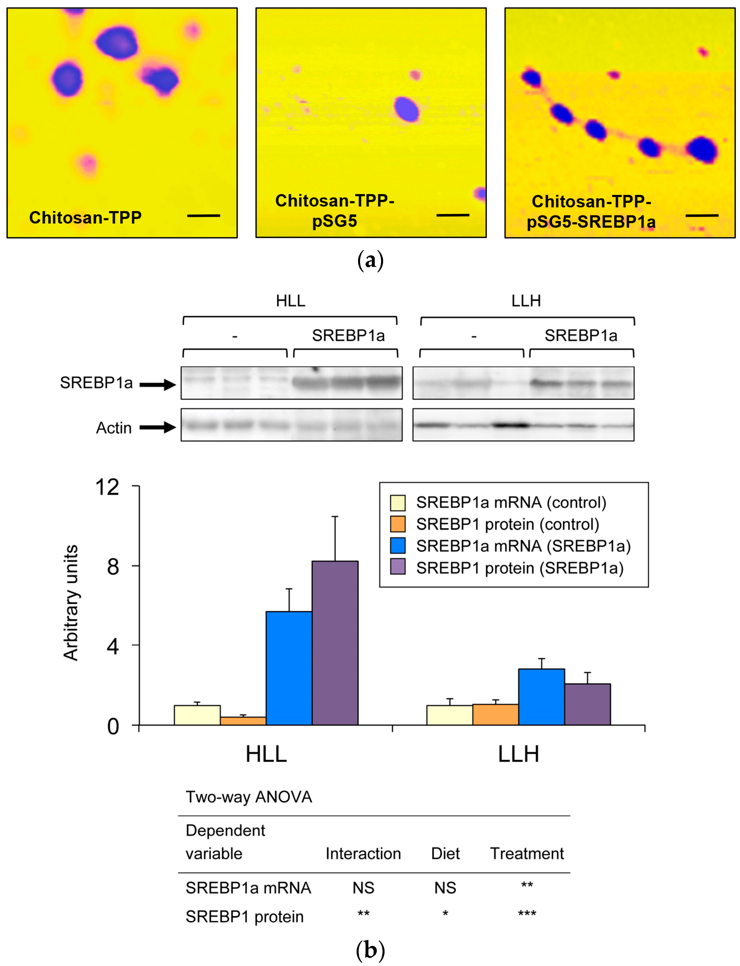 Biomolecules 09 00297 g001